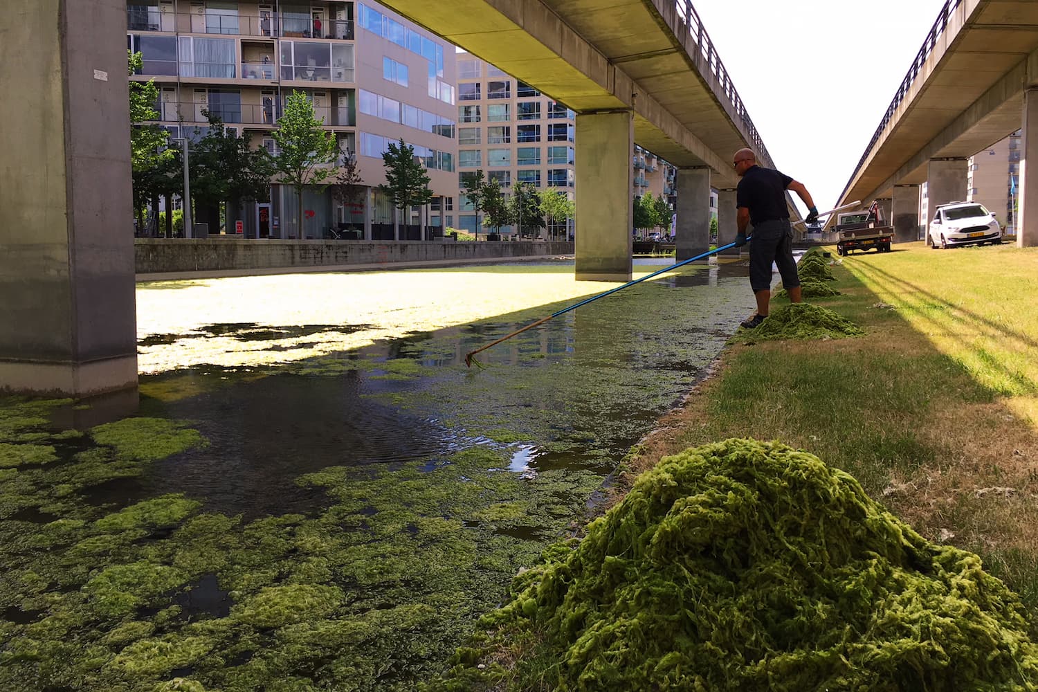 Ørestads kanaler og søer er fyldt med liv, men det kræver et højt drifts- og vedligeholdelsesniveau at opretholde. Billedet viser en af Vandlaugets driftsmedarbejdere i færd med at opfiske alger i kanalen langs Ørestads Boulevard.