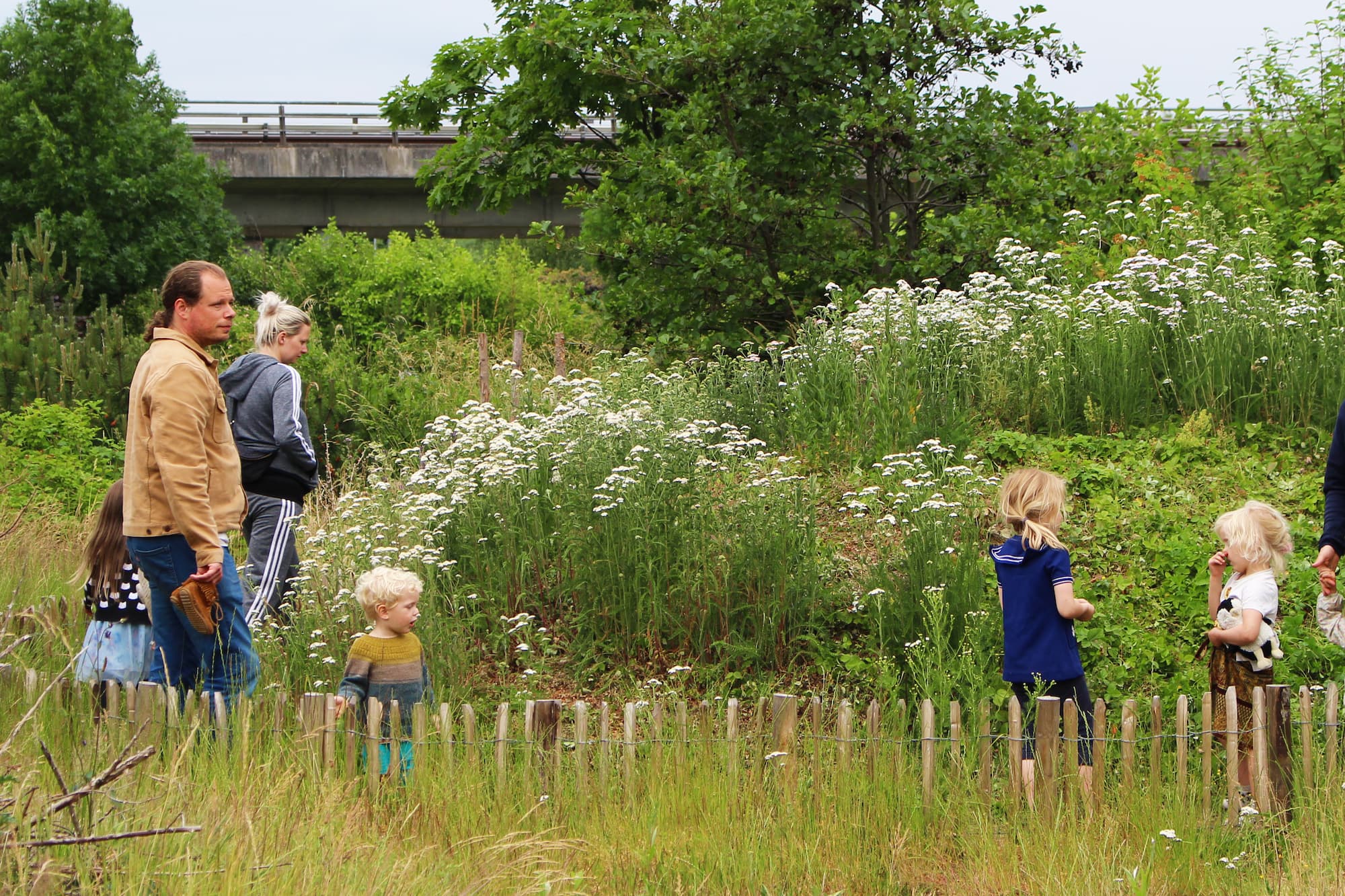 En flok børn og deres voksne er på insektsafari og går en tur i Grønningens insekthave.