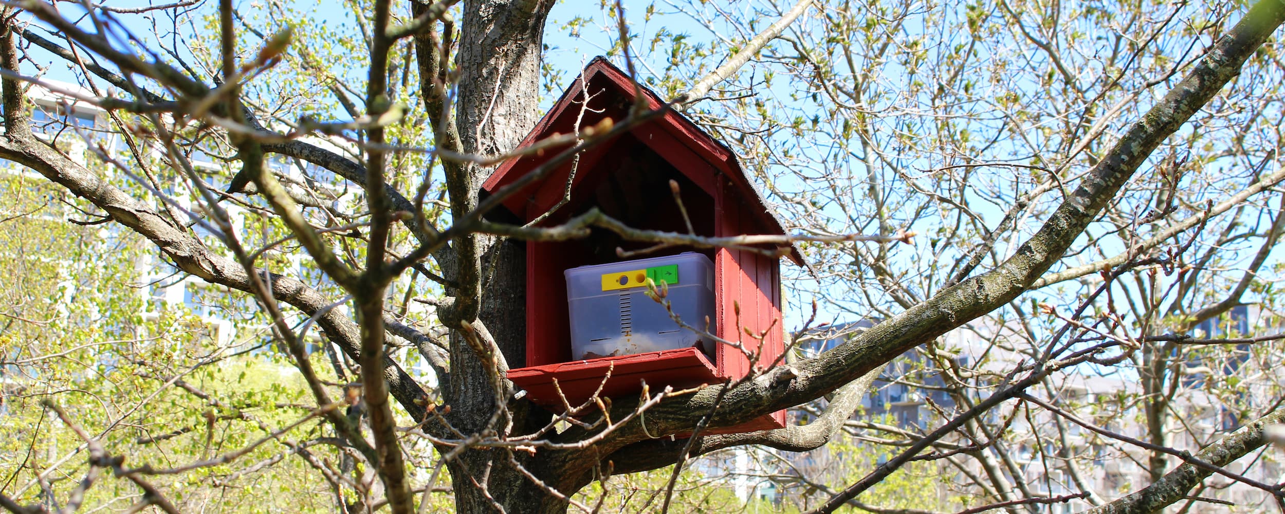 Flere steder i Ørestad er der opsat huse til humlebier.