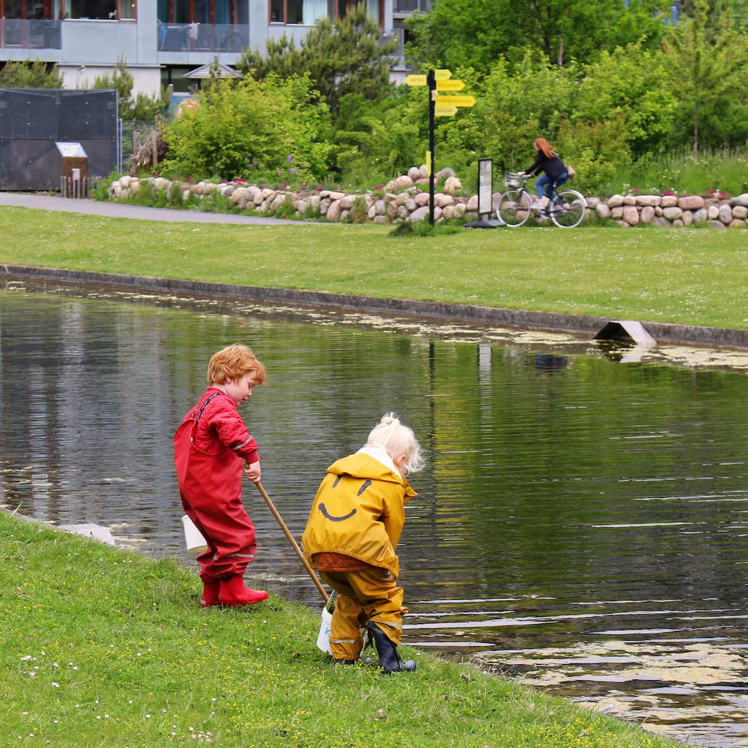 To børn er taget på insektsafari med net i kanalen på Grønningen.