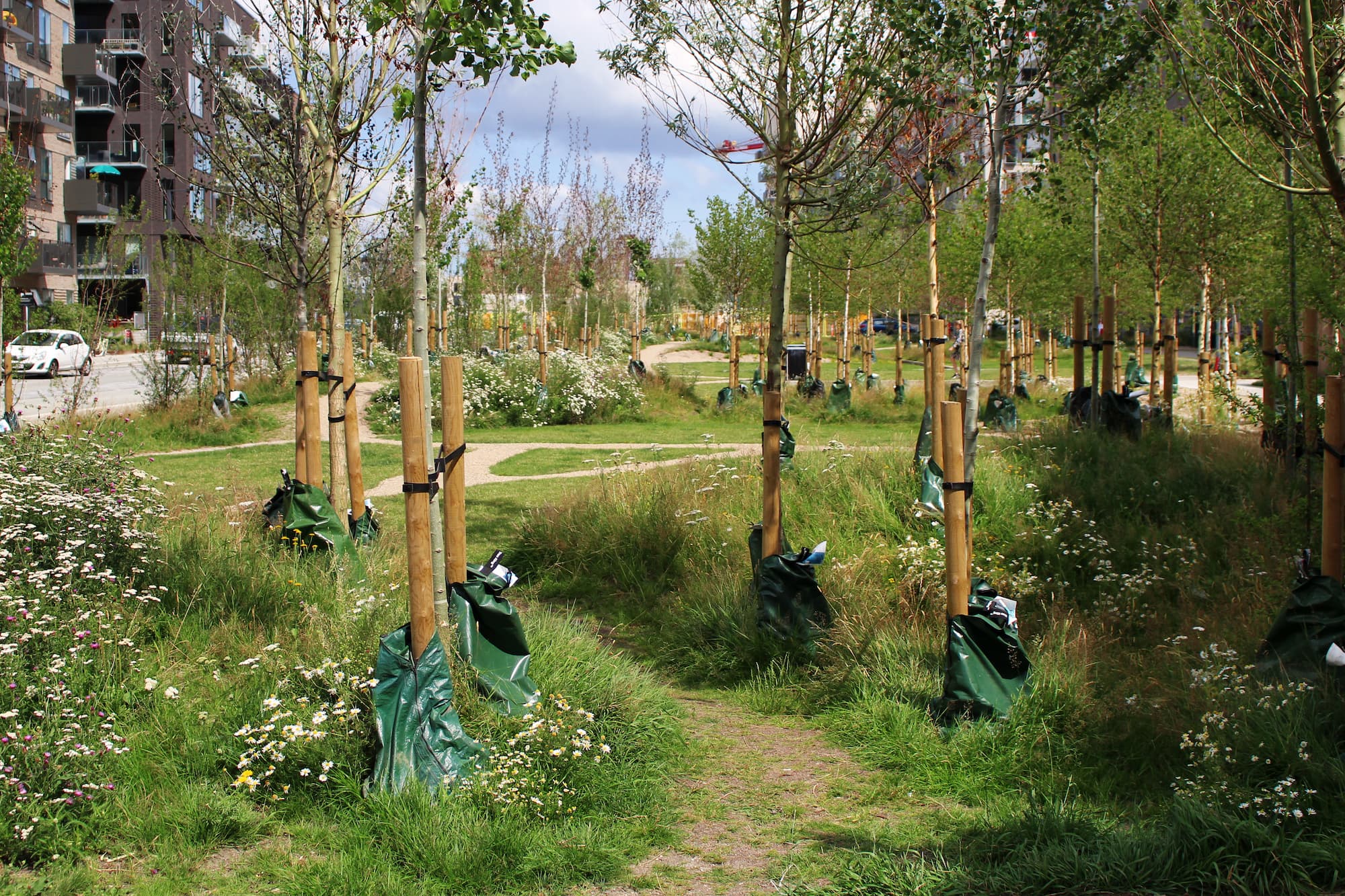 I 2020 etablerede Grundejerforeningen Ørestad Syd parkarealet foran ejendommen Bastionen på Else Alfelts Vej. Skovparken er en del af Helhedsplanen, som løbende udføres i etaper.