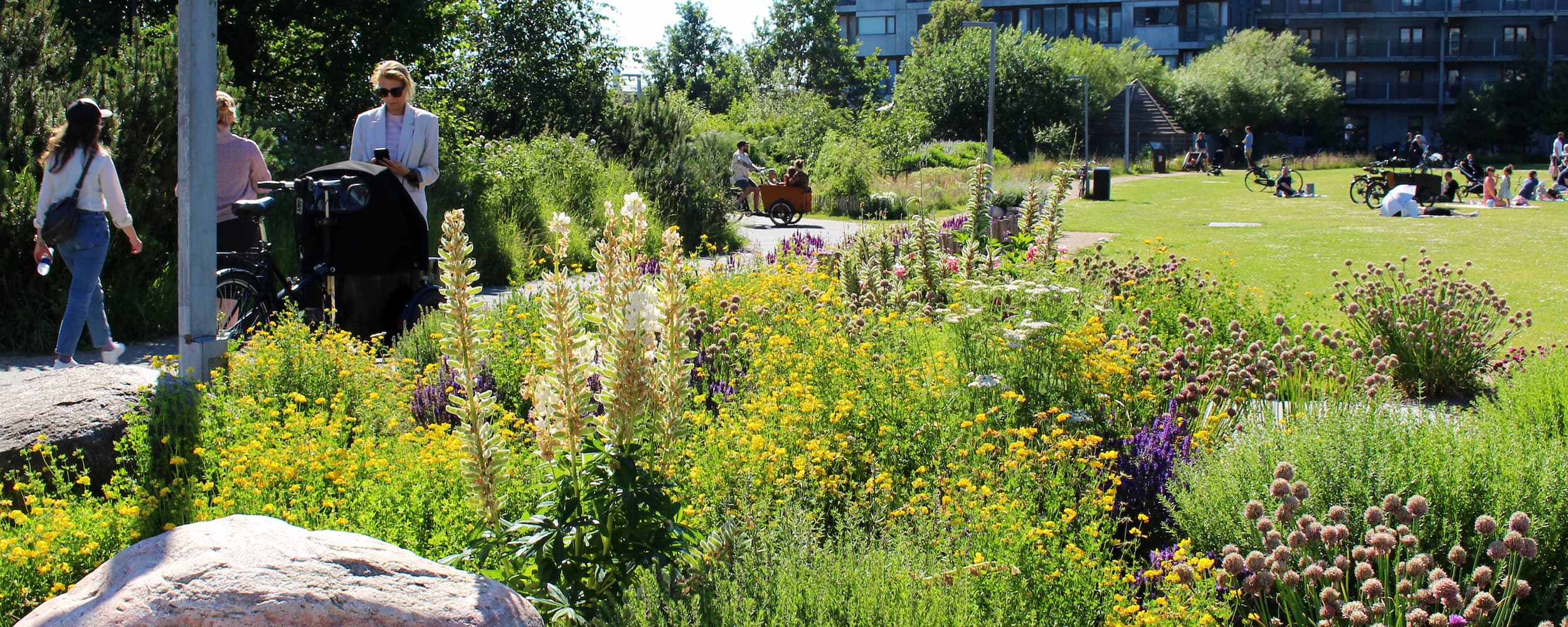 Grønningen i Ørestad Nord er en unik bypark. På billedet ses flere elementer i samspil; insektvenlig beplantning i fuldt flor, et stisystem til hhv. cyklister og gående og en plæne med plads til ophold og bevægelse.