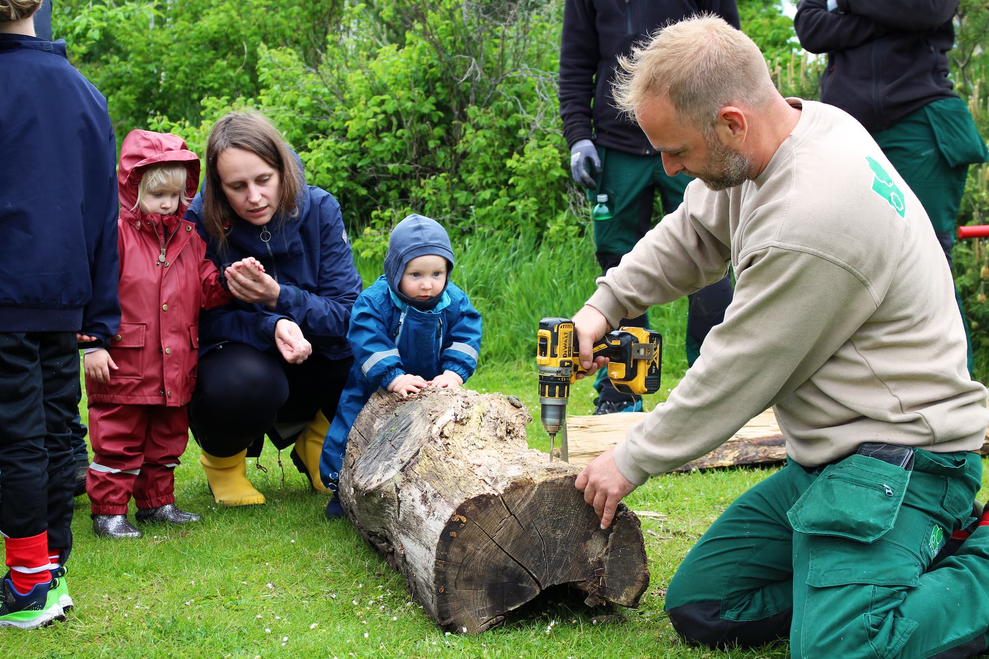 Til Naturdag i Ørestad Nord i maj 2022 blev der boret huller i en gammel træstamme til bænkebidere og biller.