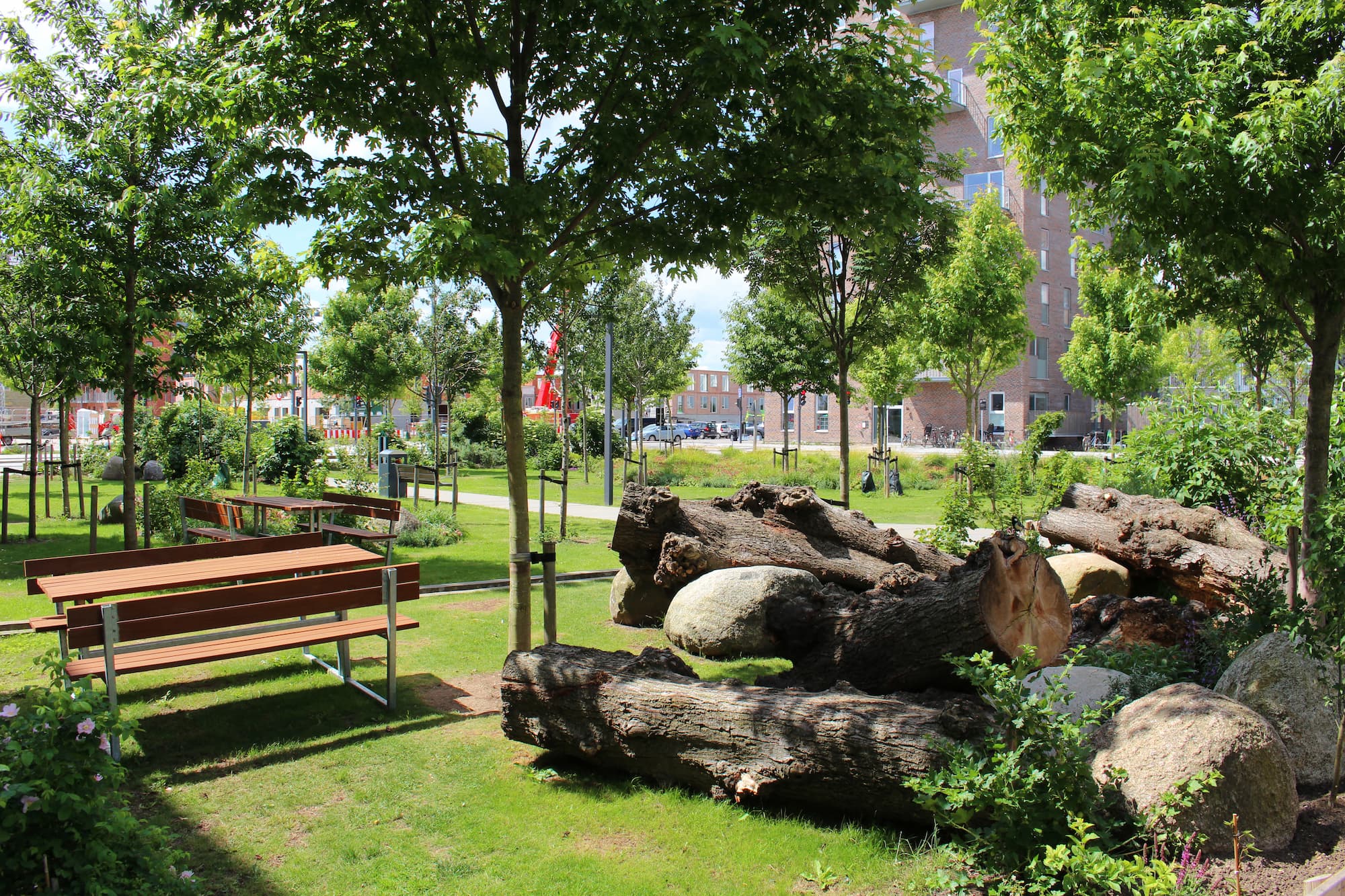 I foråret 2022 fik Skovpladsen i Arenakvarteret et boost med et læs flotte, gamle træstammer.