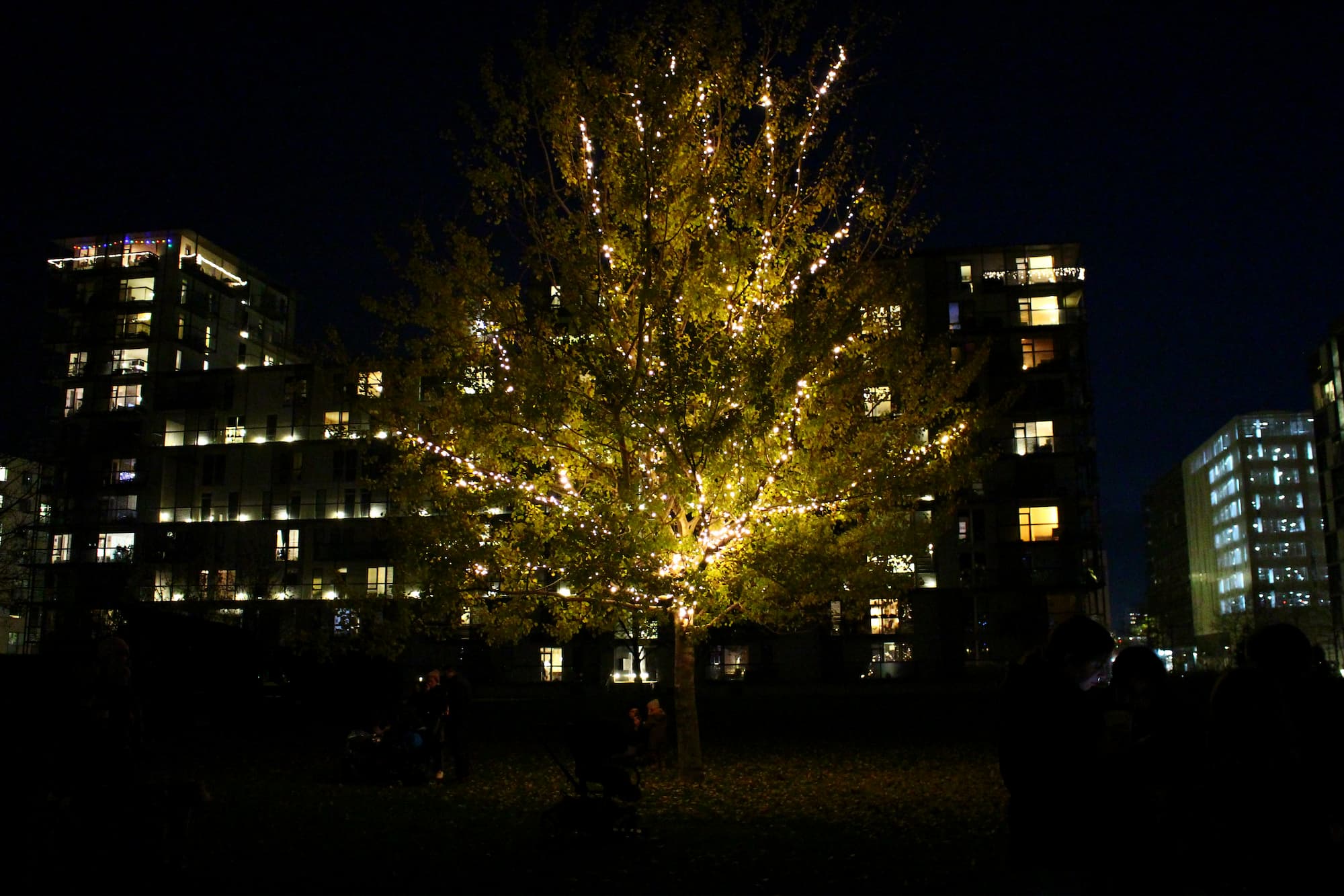 Julelys i stort træ i Byparken.