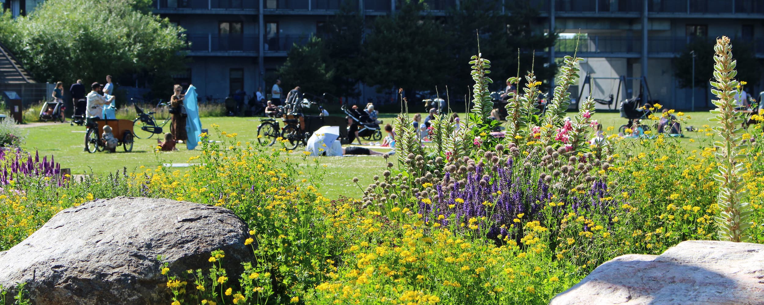 Grønningen i Ørestad Nord er en moderne storbypark med rig bynatur og gode muligheder for ophold og aktivitet.