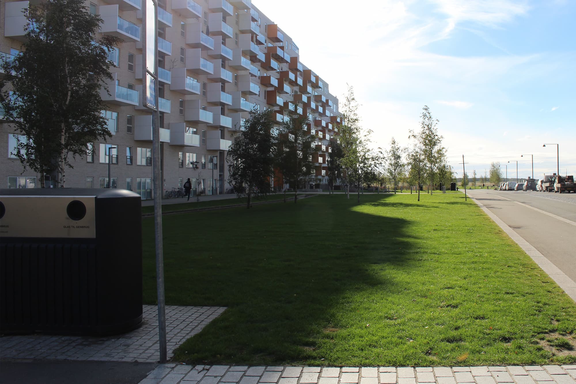 Græsstykket ud for Else Alfelts Vej 89-95, eller etape 15 ifølge Helhedsplanen, er blandt de næste områder i Ørestad Syd, som grundejerforeningen vil give et grønt løft.