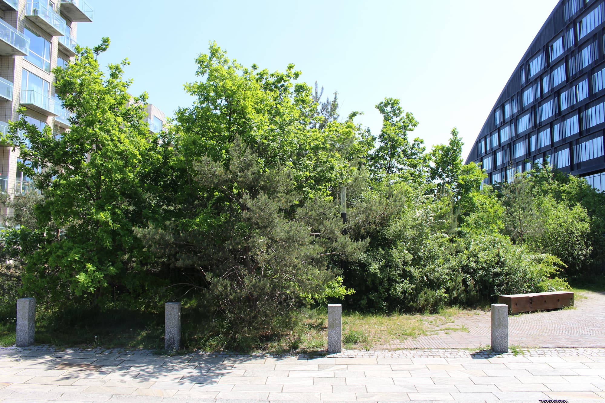 Lommeparken Skovbrynet mellem Porthuset og Winghouse i Ørestad City.