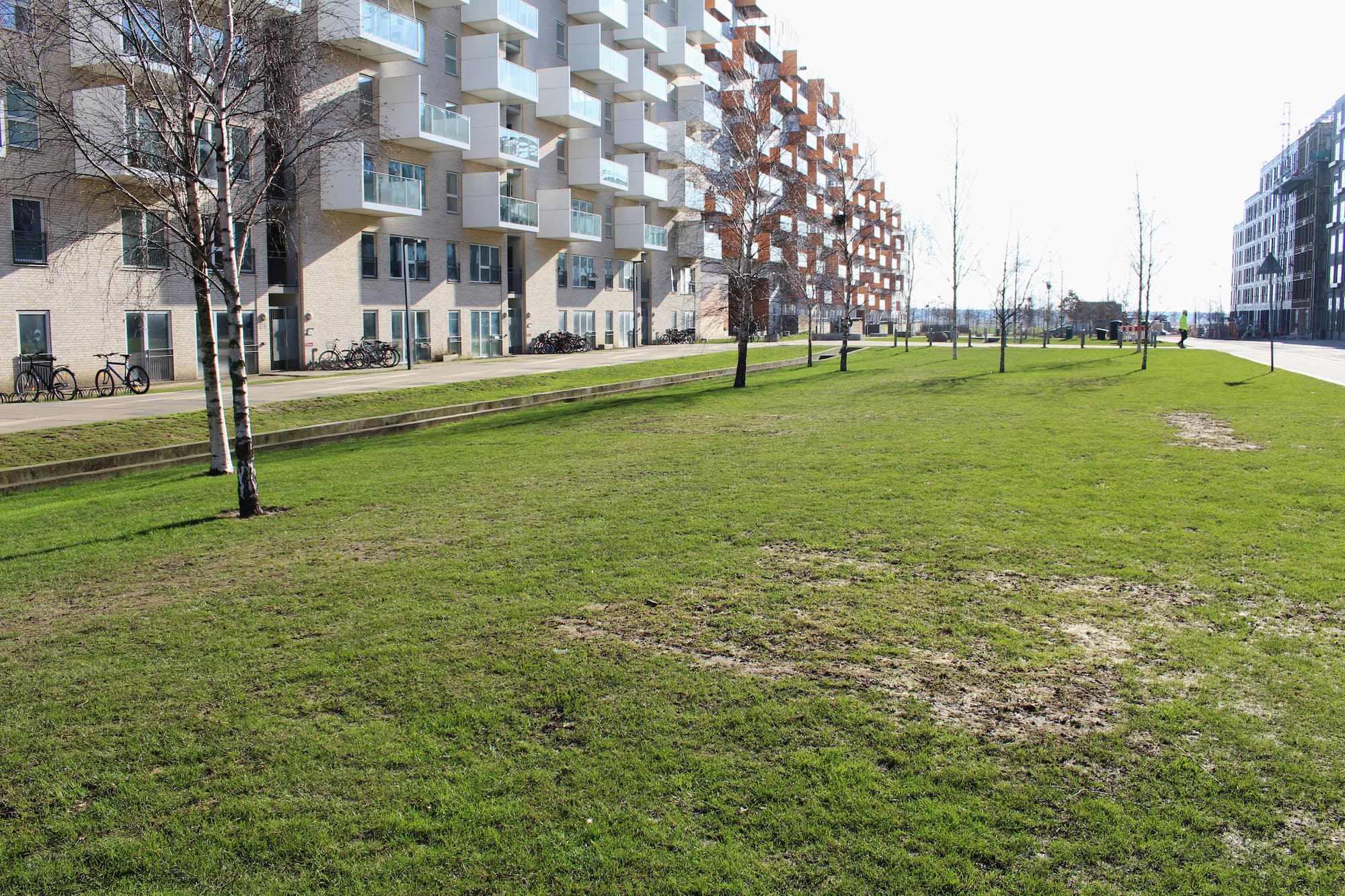 Græsplæne på Else Alfelts Vej, som i 2024 bliver forvandlet til en park og en legeplads.