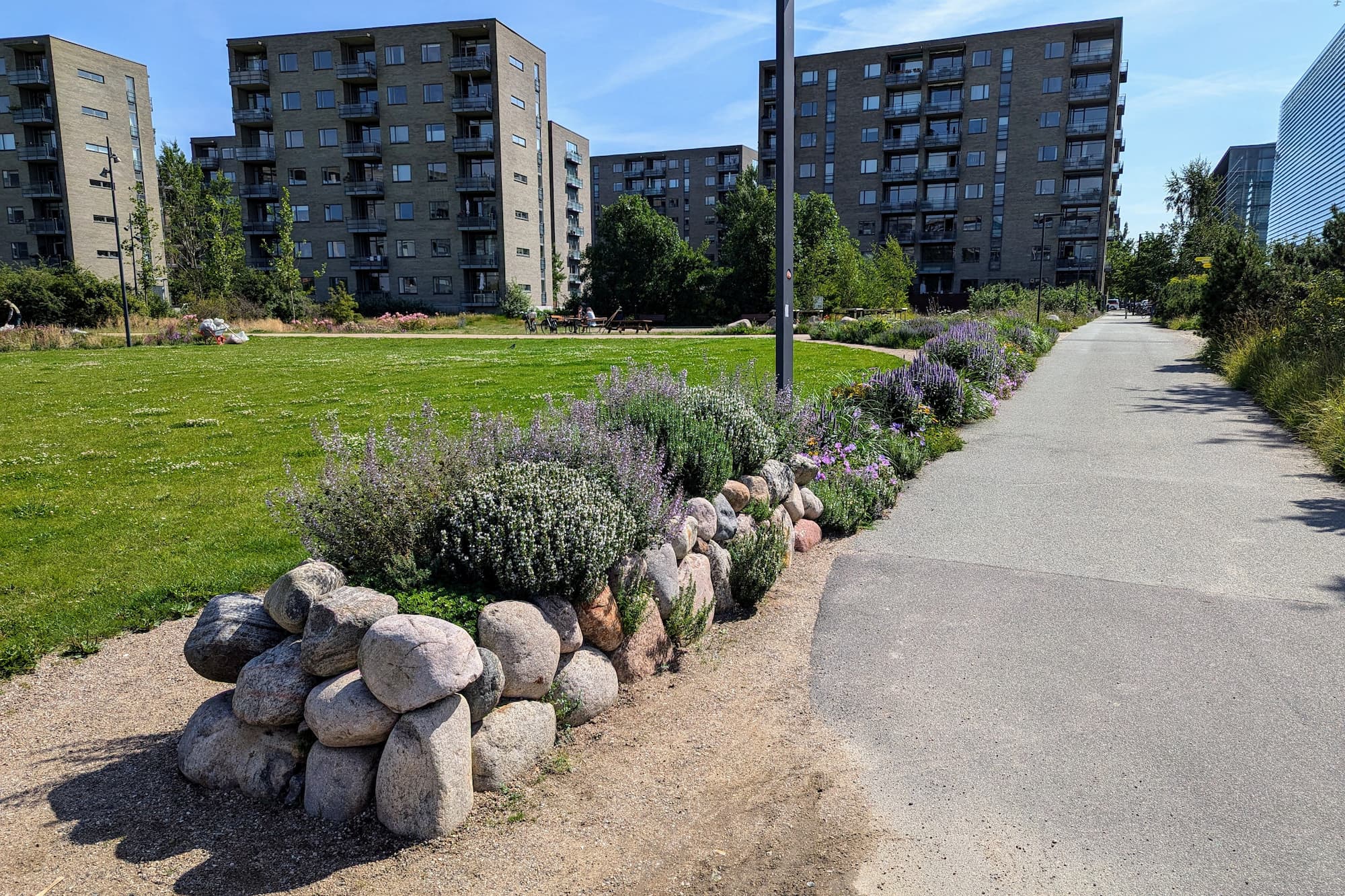 Ud over boldbaner og legepladser gemmer Grønningen i Ørestad Nord på en skatkiste af vild mad.