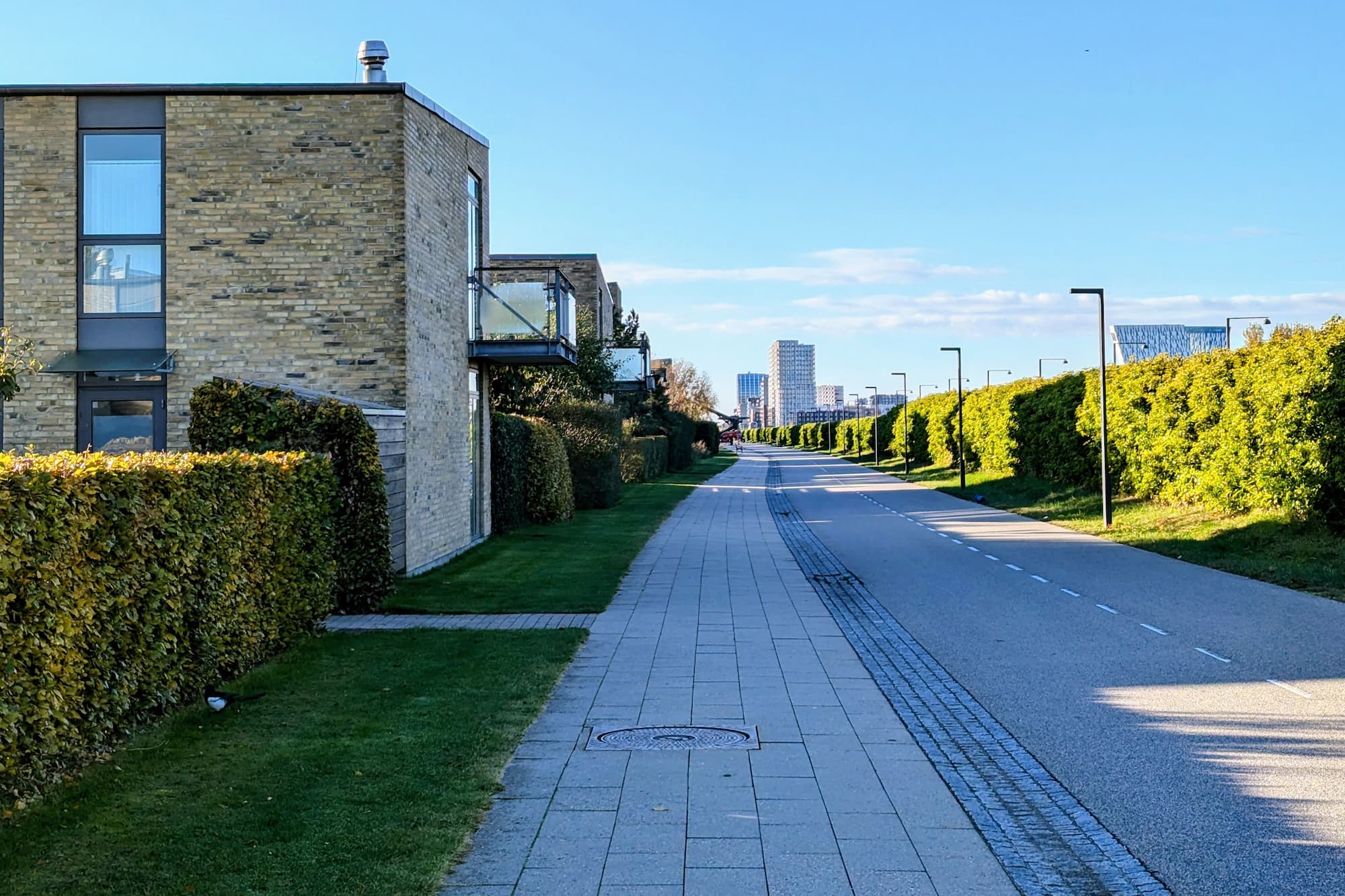 Amager Fælled Øst.