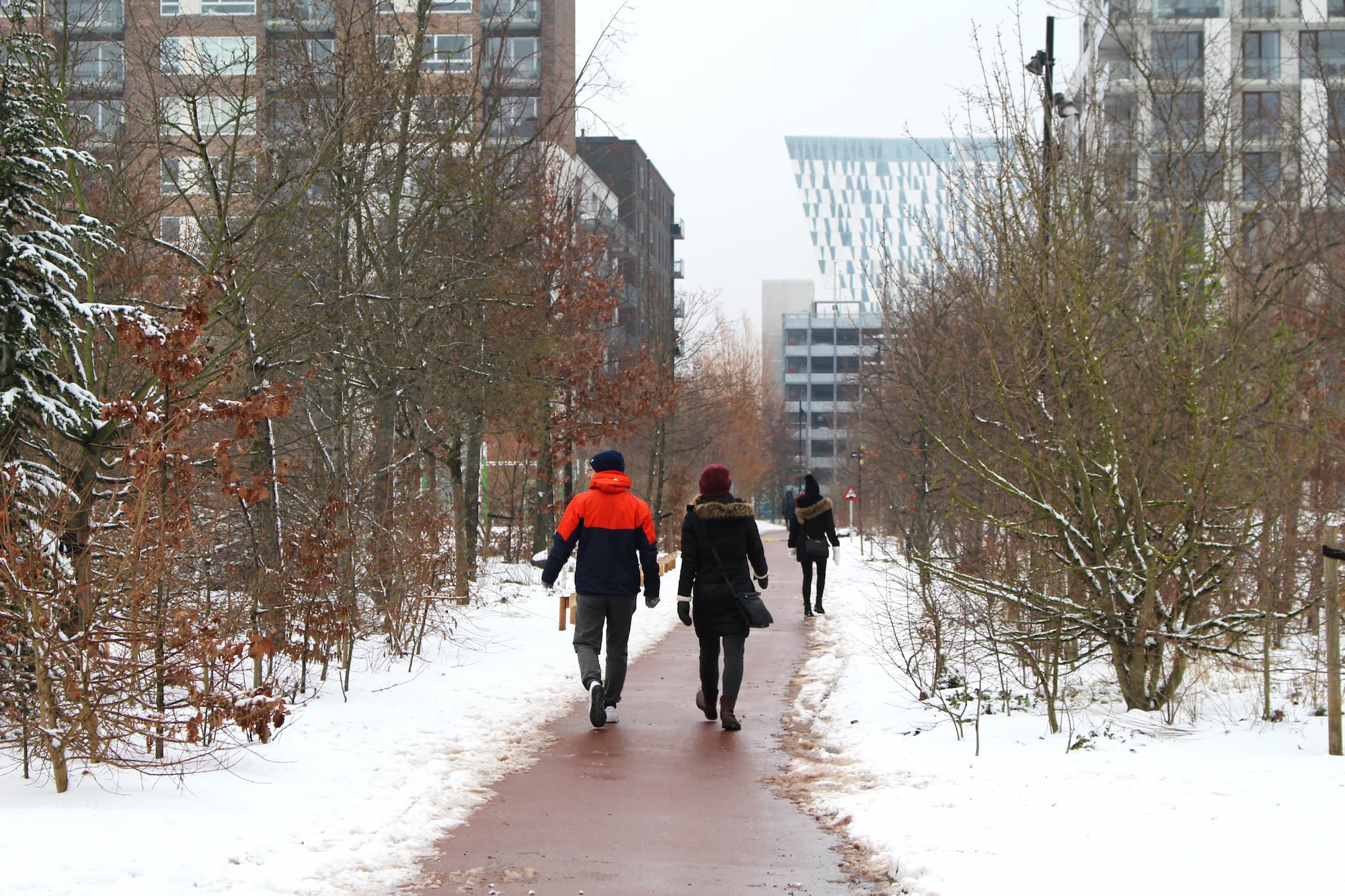 Sne i Løvtaget i Ørestad Citys Bypark.