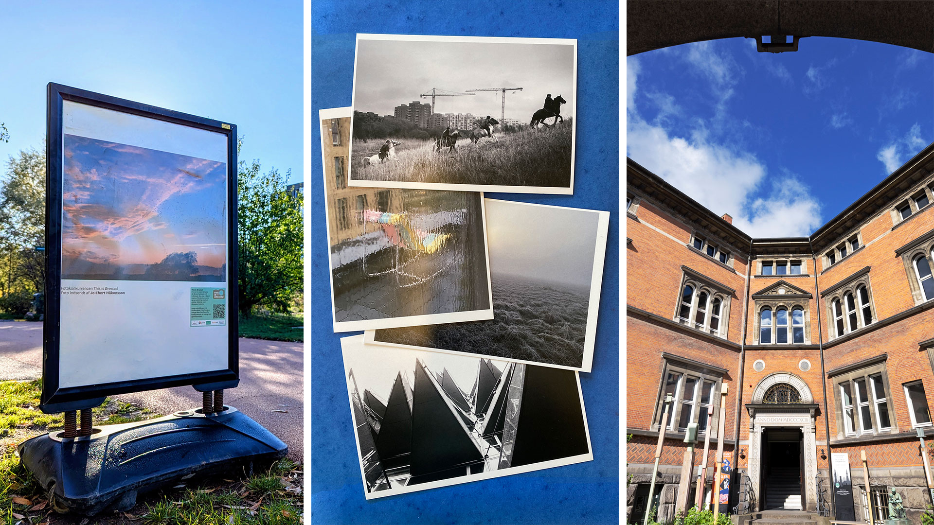 1.102 billeder! Så mange fotos blev der indsendt til sommerens fotokonkurrence This is Ørestad. Nu kan du finde et udvalg af dommernes favoritter flere steder i Ørestad, på Københavns Museum og på 400 caféer og biografer i hovedstadsområdet.