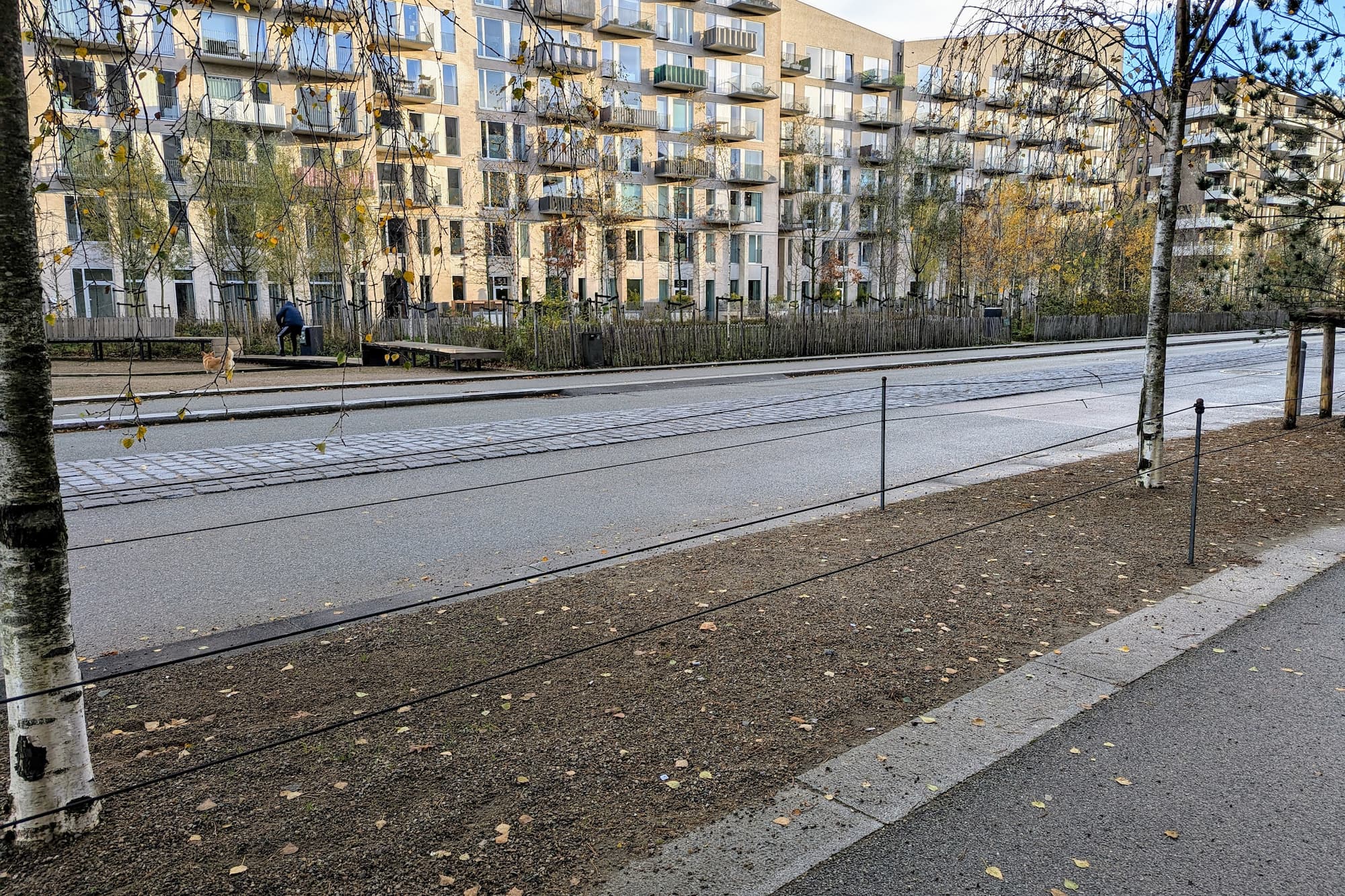 Et af de bede på Else Alfelts Vej, hvor grundejerforeningen har udsået blomsterfrø.