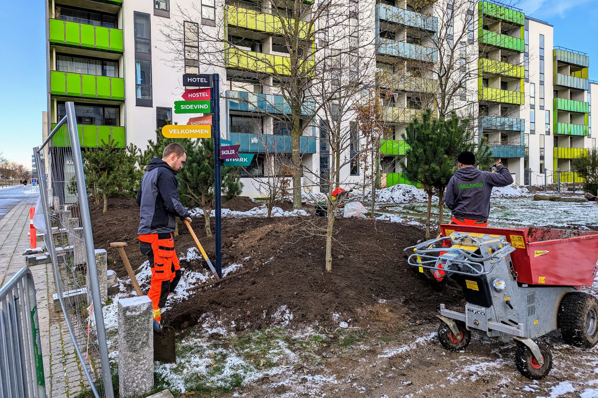 I Bellahusparken planter Malmos 125 træer for grundejerforeningen.