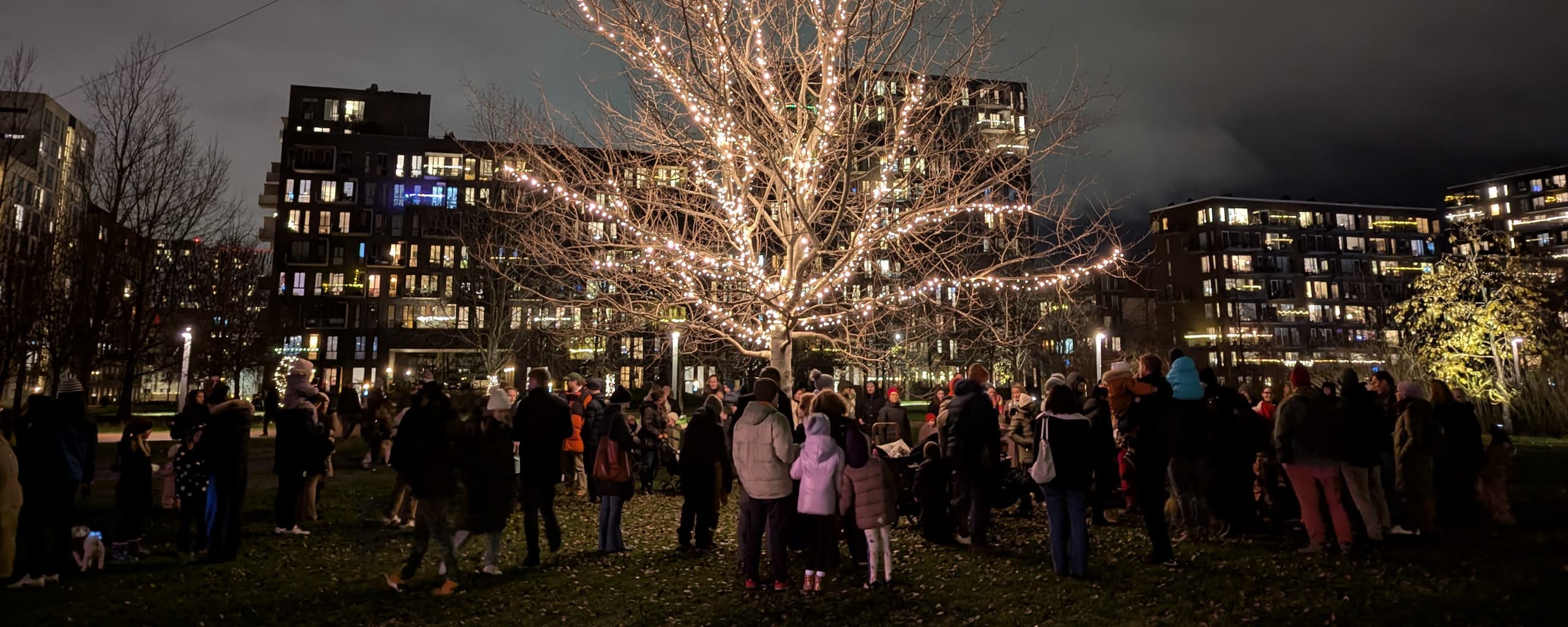 Julelystænding i Byparken.