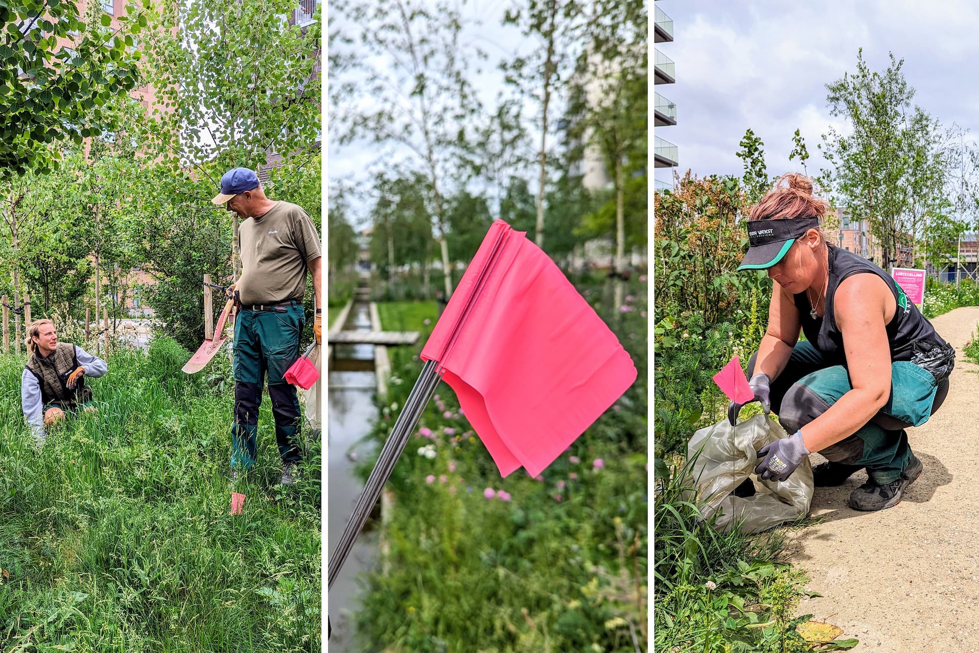 Med en række lortetællinger i Skovrummet på Else Alfelts Vej ønskede Grundejerforeningen Ørestad Syd som et eksperiment at tælle alle efterladte hundelorte i området og erstatte dem med iøjnefaldende flag, information og en bøn om at slutte sig til flokken, der samler op efter deres hund.