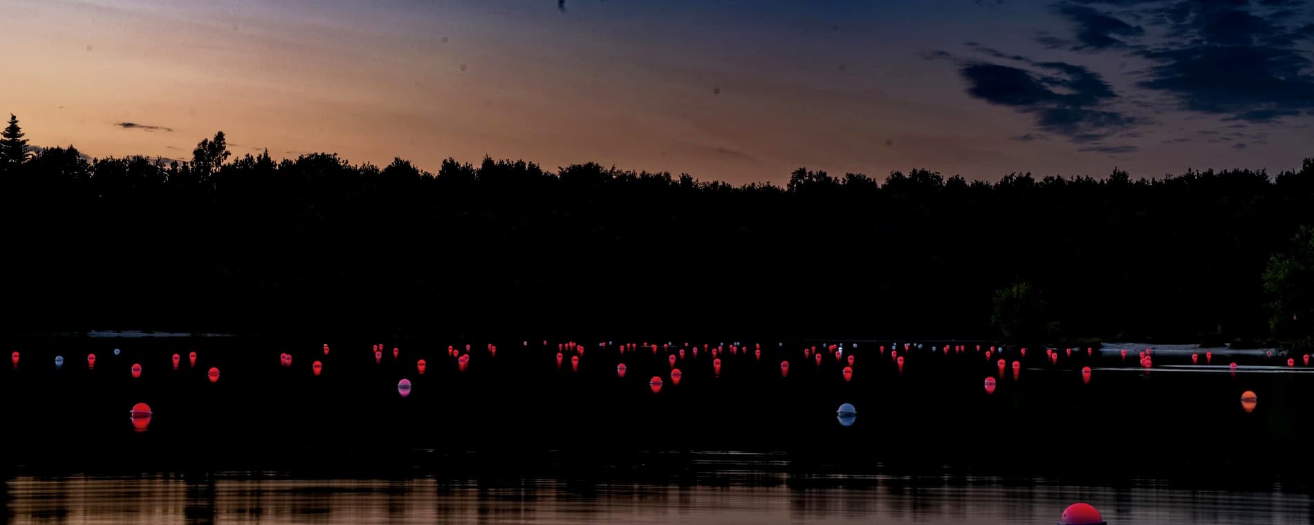 Ørestads grundejerforeninger og vandlaug er igen i år gået sammen om deltagelse i Københavns lysfestival, der fra den 31. januar 2025 og tre uger frem vil indhylle hovedstaden i smuk lyskunst. Du kan opleve fire unikke værker i Ørestads parker og byrum. På billedet ses værket LILY.