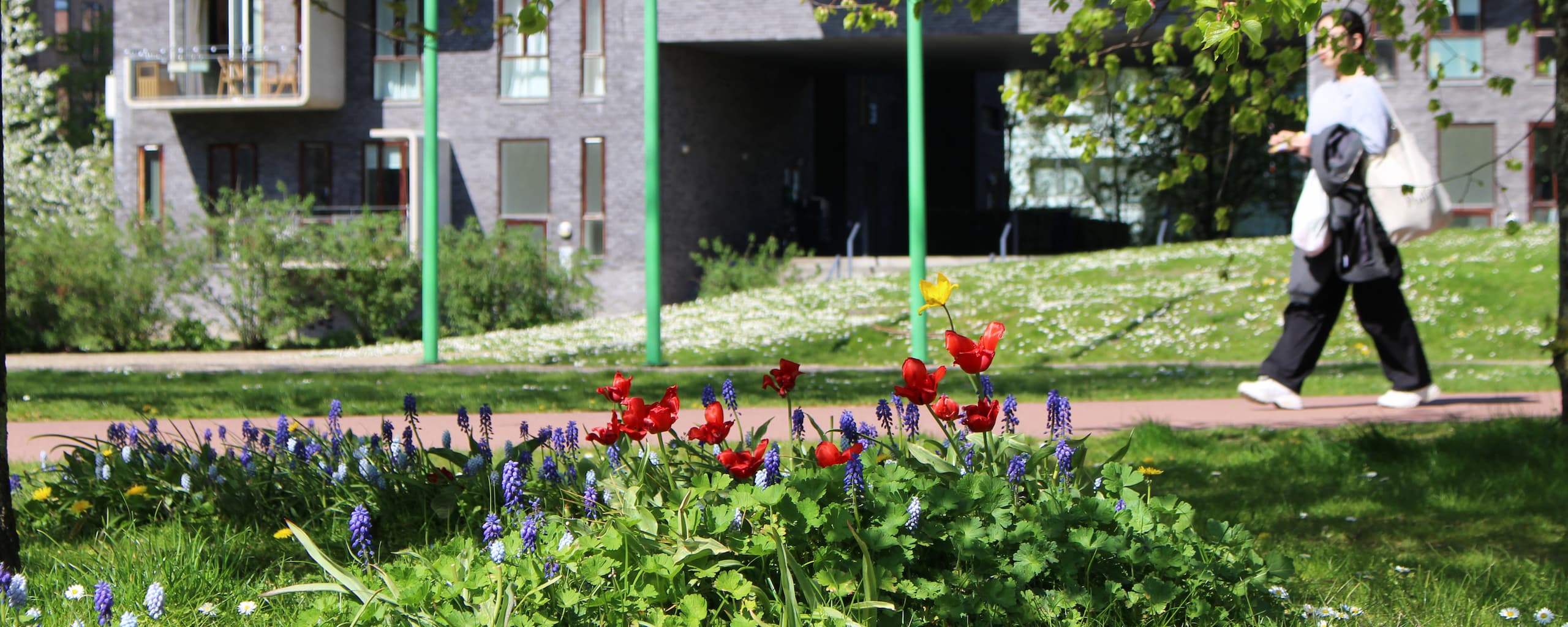 Forårsblomster i Byparken.