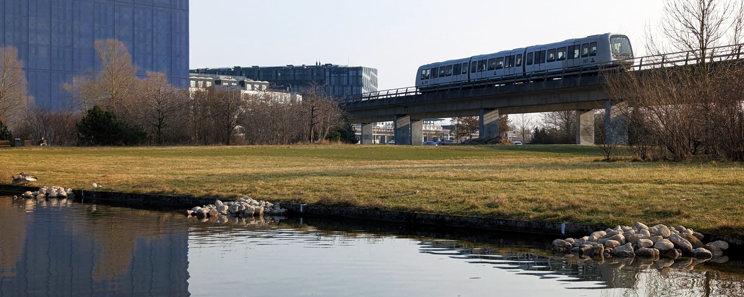 Grundejerforeningen Ørestad Nord og Vandlauget er gået sammen om at skabe flere korridorer og levesteder til padder – både til lands og til vands.