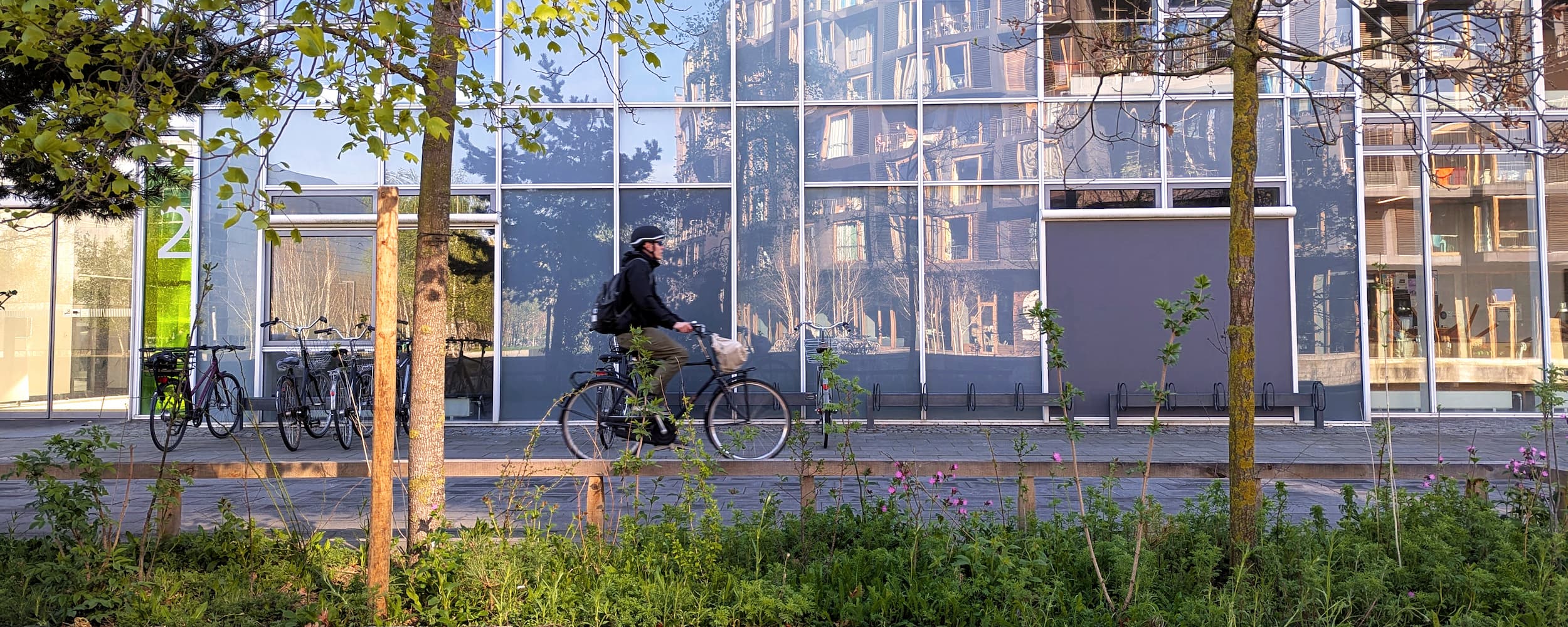 Cykeltur langs Emil Holms Kanal, hvor Grundejerforeningen Ørestad Nord har omdannet en del af grusarealet til blomsterbede.