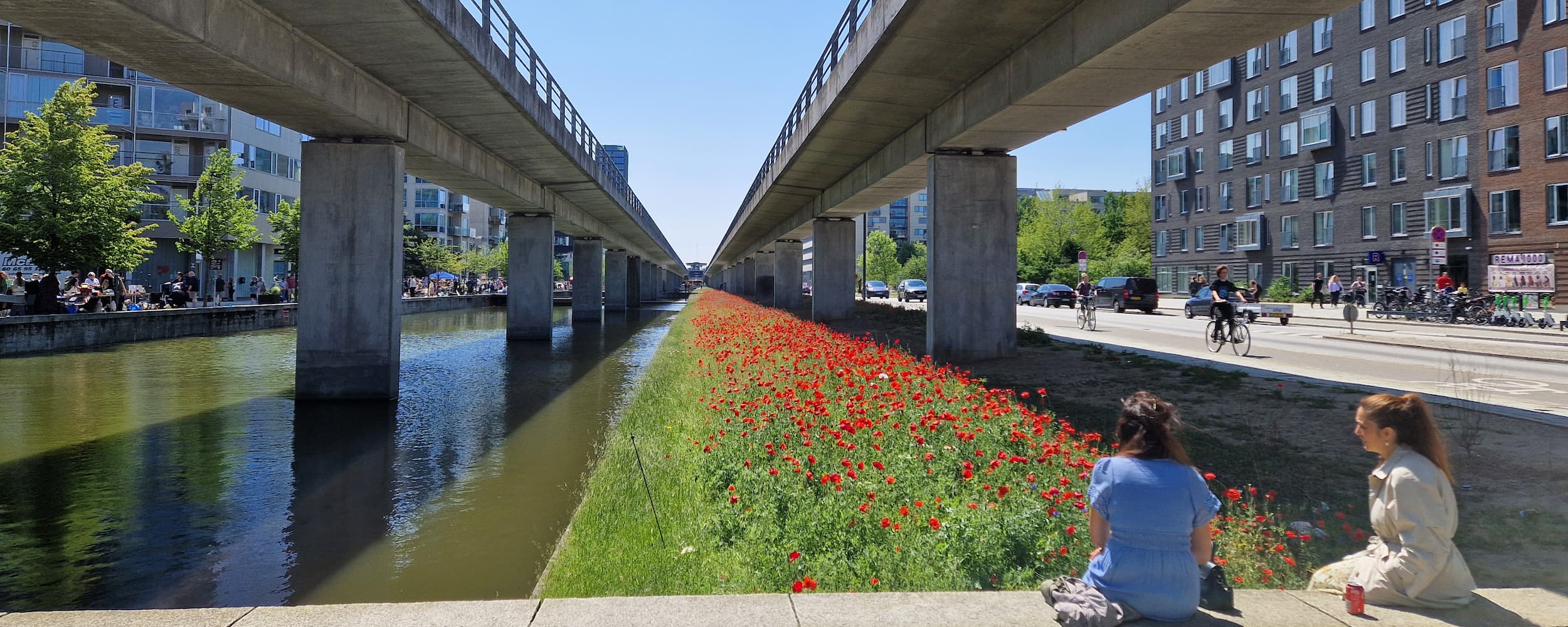 Blomster under metroen i fuld flor.
