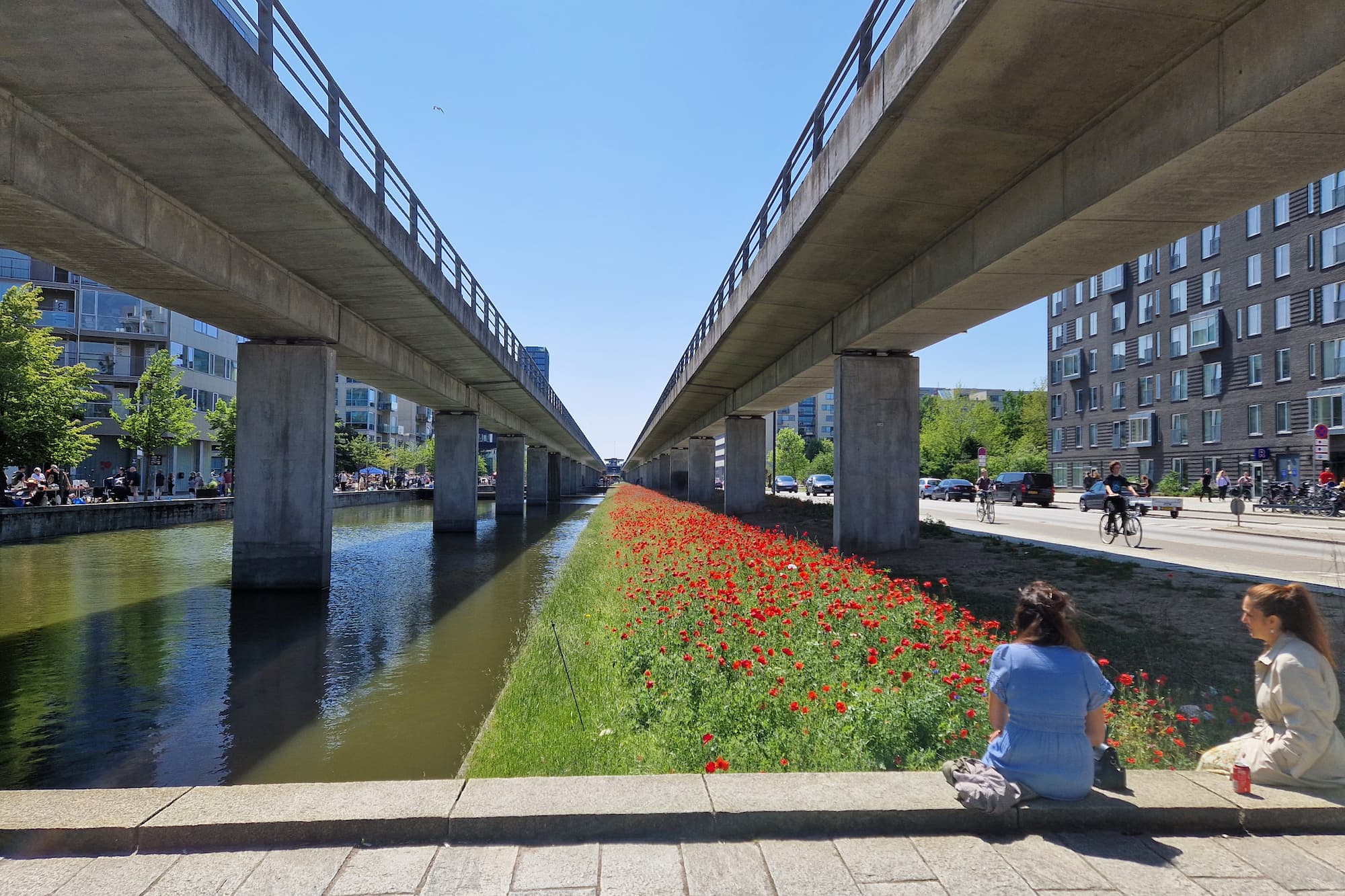 Blomster under metroen i fuld flor.
