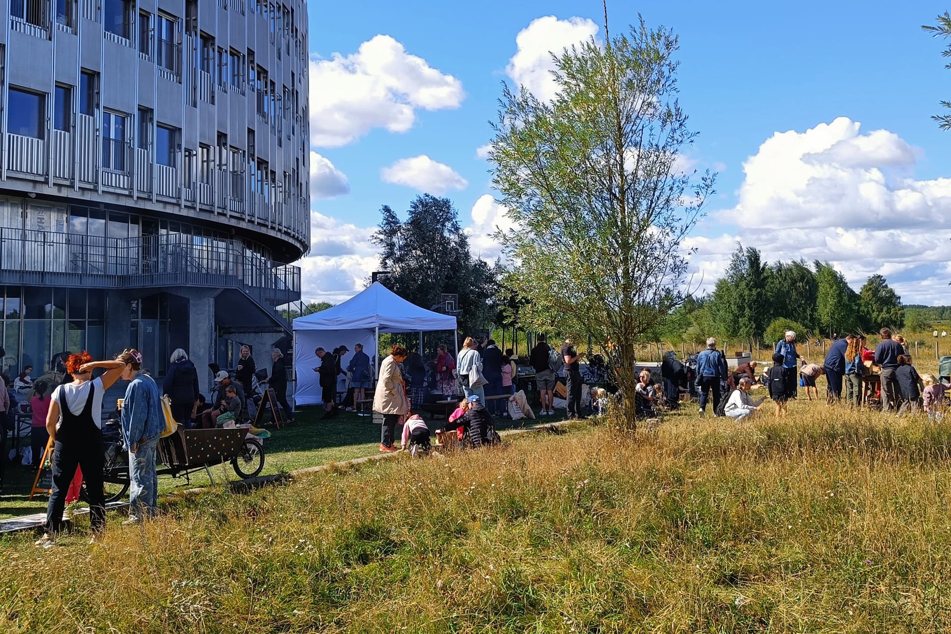 Træpælene i baggrunden markerer skellet mellem den bynære natur (Kalvebod Fælled) og bynaturen (Byfælleden).