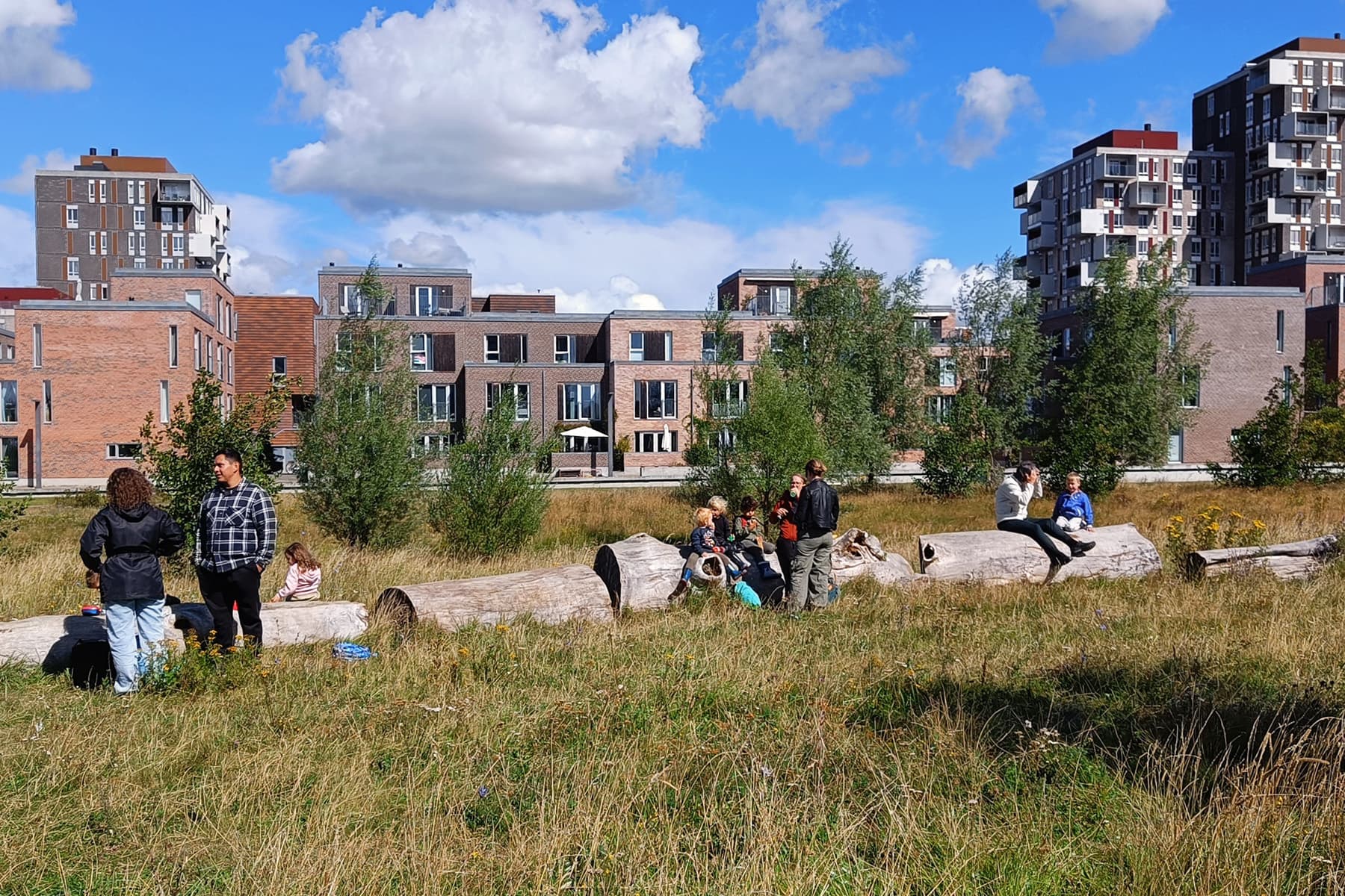 Byfælleden er hjertet i Arenakvarteret og har en størrelse på ca. 16.000 kvadratmeter, hvoraf det meste er dækket af planter.