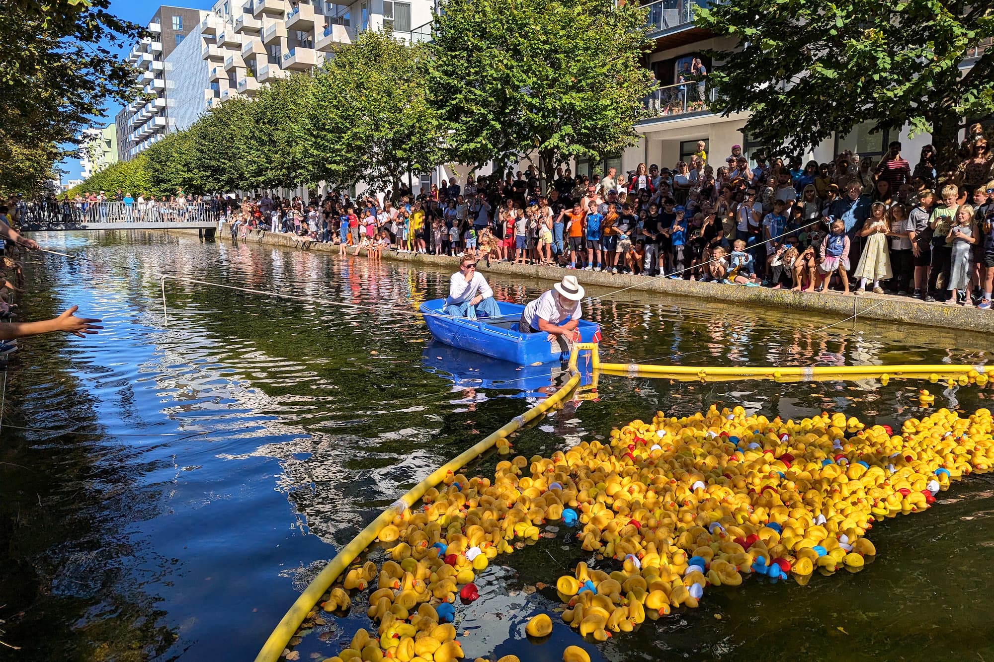 De første badeænder er næsten i mål!