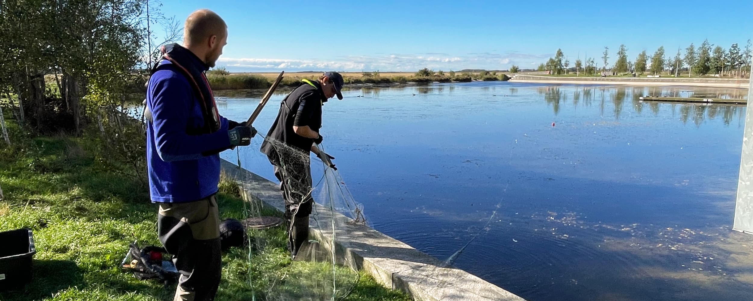 Ørestad Vandlaug er i gang med at undersøge fiske- og plantelivet i flere af bydelens kanaler og søer. Undersøgelsen bliver foretaget hvert sjette år som led i Vandlaugets løbende drift og udvikling af vandmiljøerne.