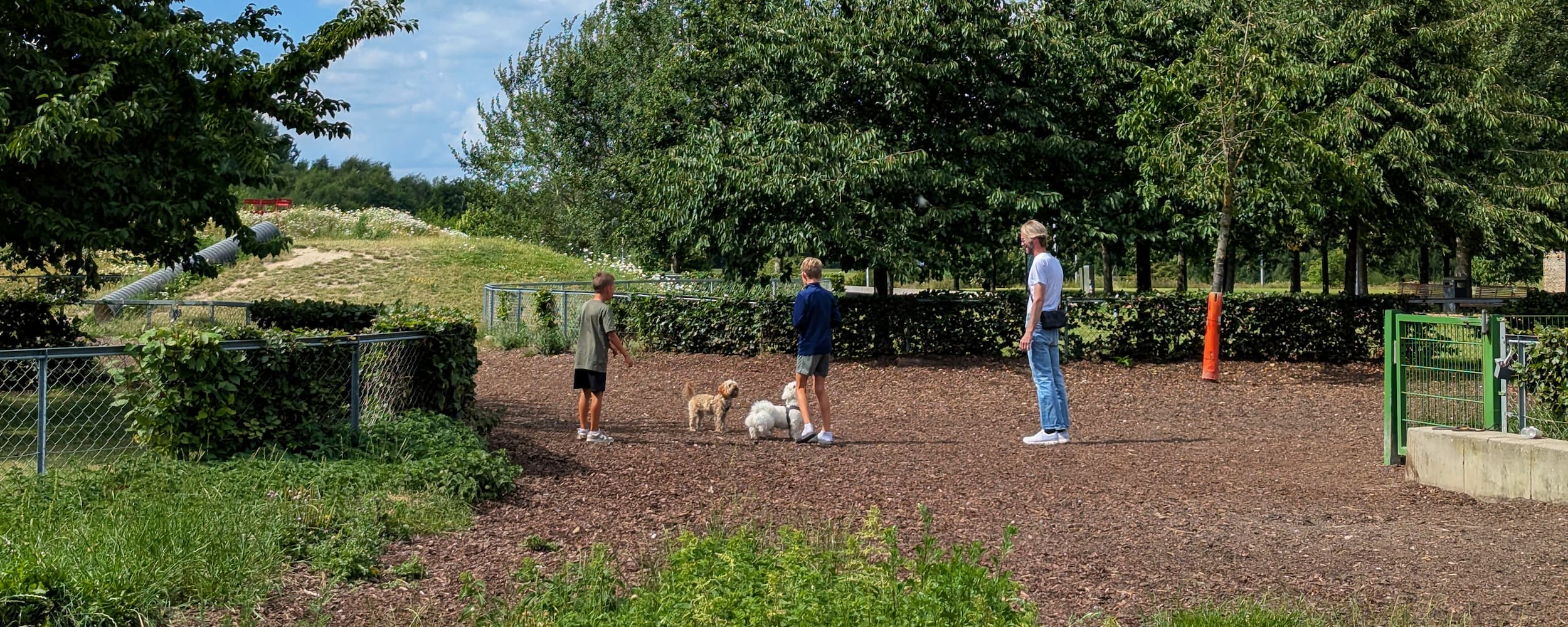 Hundegård i Byparken.
