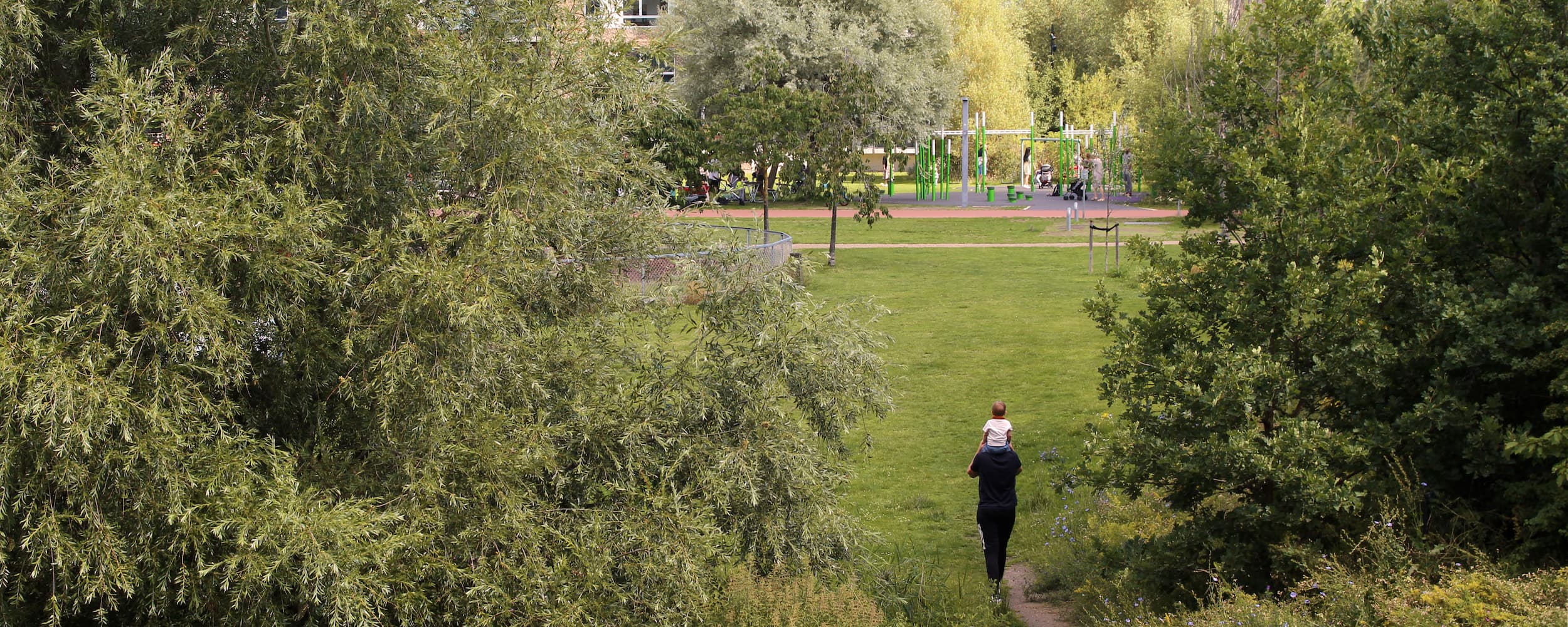 Store, gamle træer i Byparken i Ørestad City. Grundejerforeningerne har i fællesskab vedtaget en træpolitik, som skal sikre, at træer i foreningernes områder bliver bevaret, mens træbestanden øges.