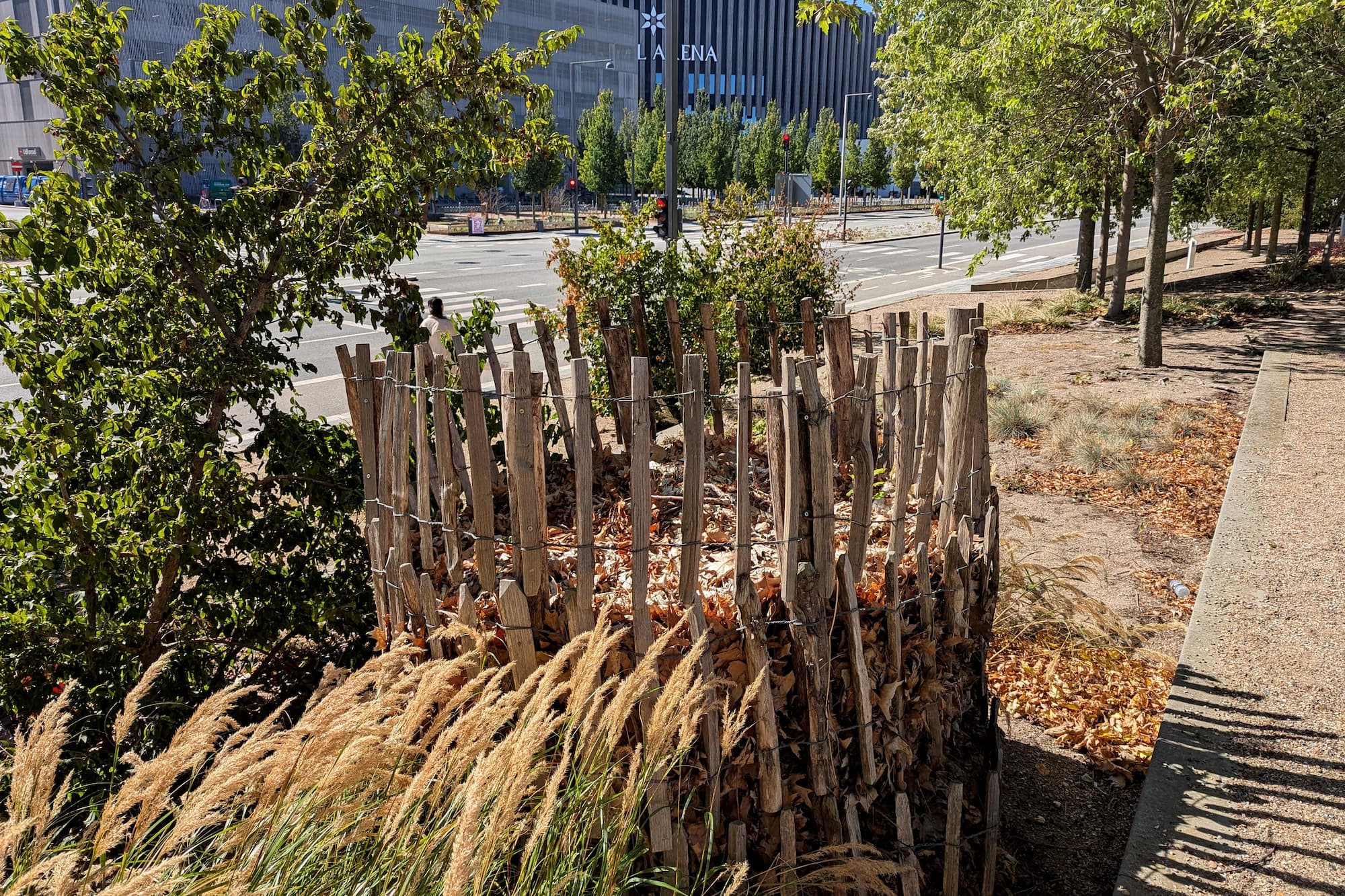 Nedfaldet løv samles i bladtårne, hvor det ligger som et kombineret insektbo og gufbunke.