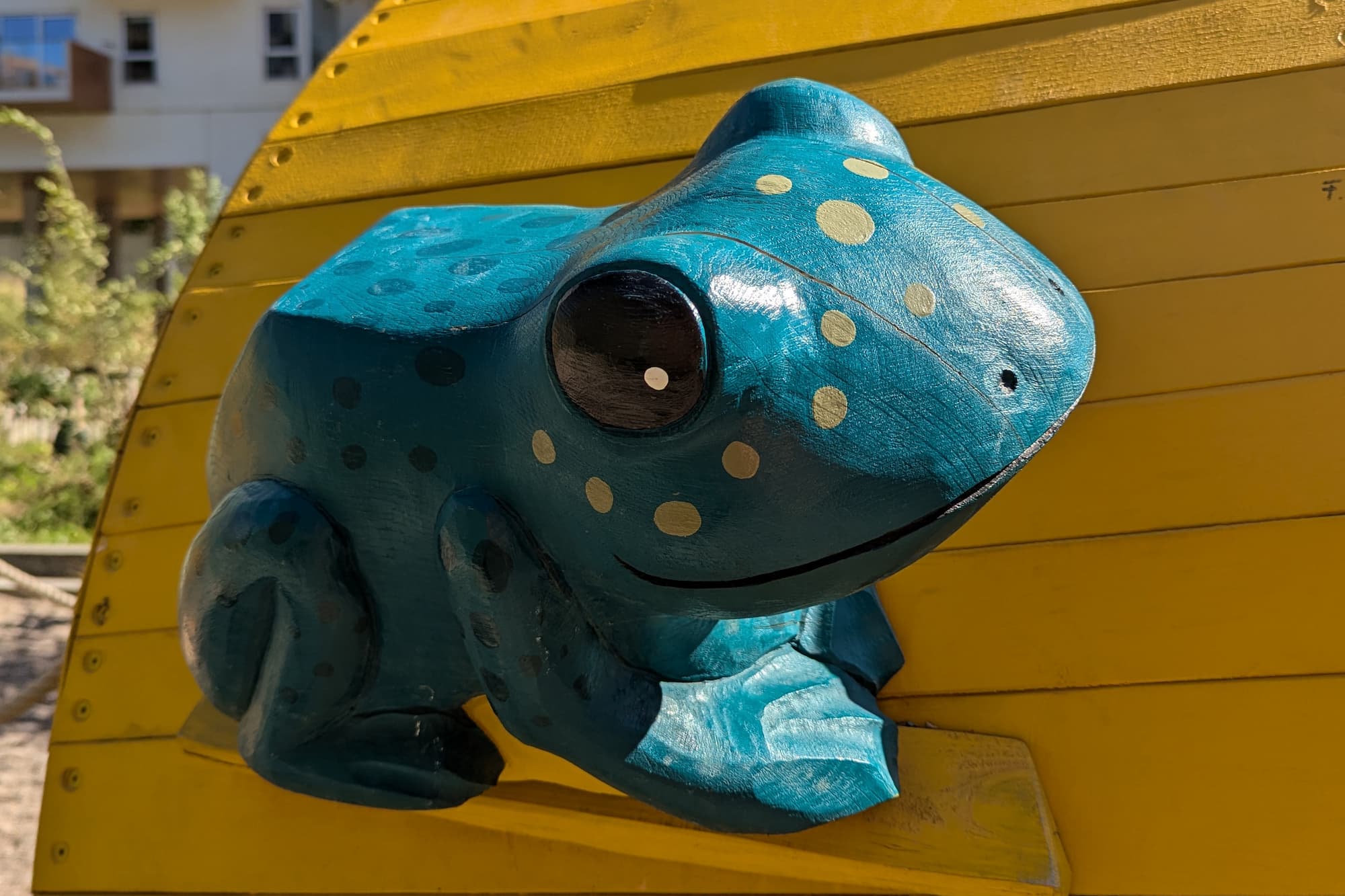 Denne frø sidder på en af de store havtorn på Fuglelegepladsen.
