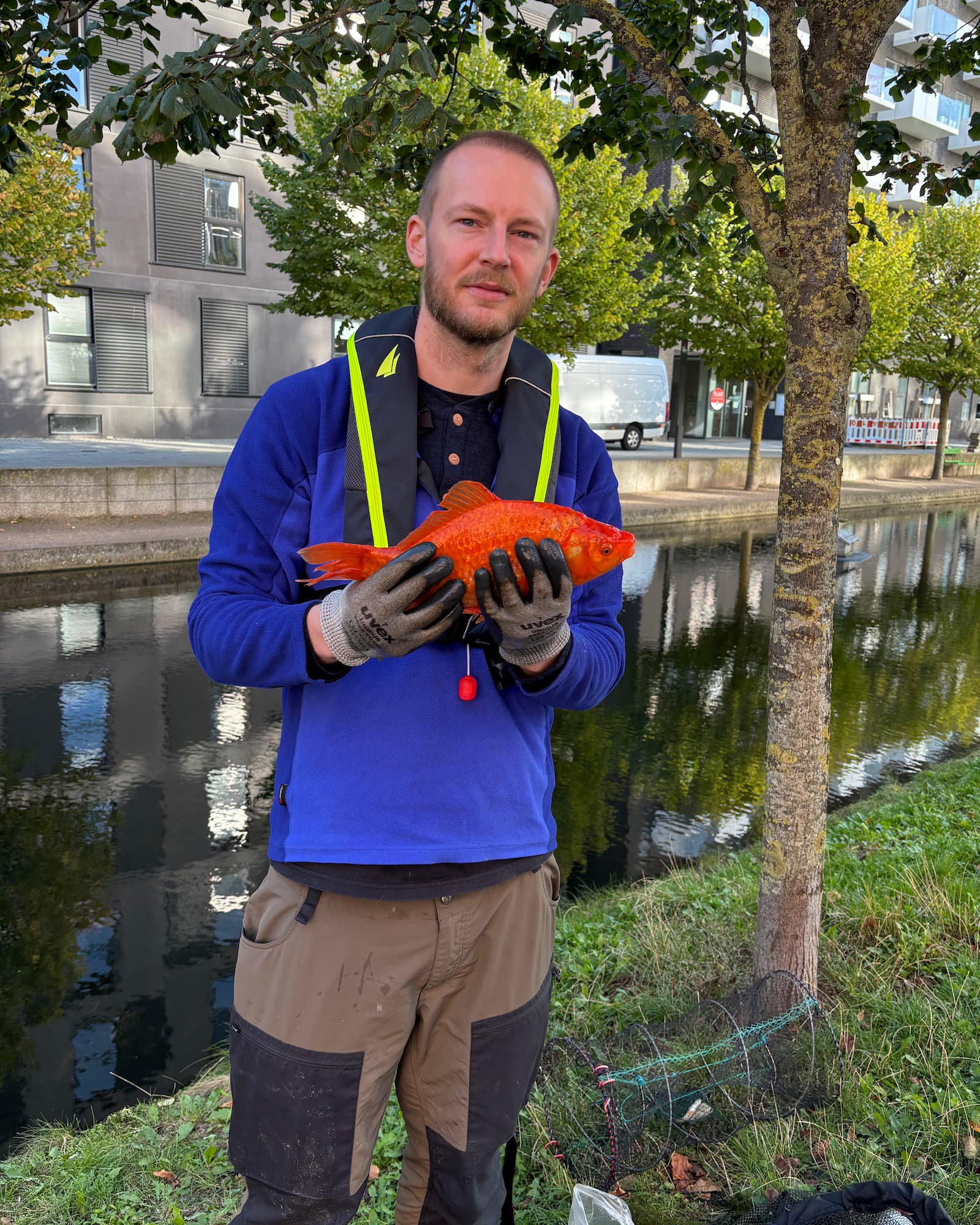 Karusse i Hovedkanal Syd langs Robert Jacobsens Vej. Foto: Rambøll