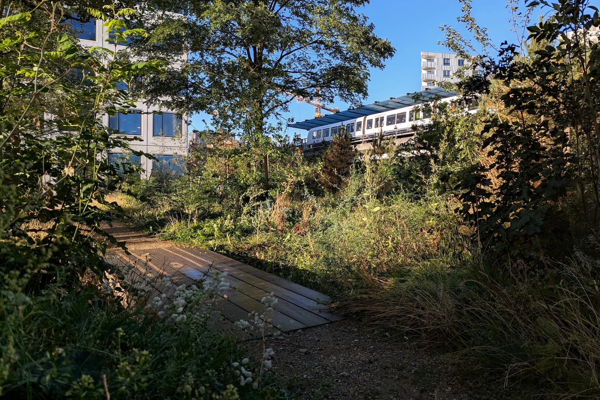Grundejerforeningen Ørestad City har igennem mange år arbejdet sammen med SLA om udviklingen af Byparken og kvarterets lommeparker med fokus på at fremme en vildere bynatur. I forvandlingen af Bellahusparken blev der arbejdet med et "ingen jord ind, ingen jord ud"-princip.