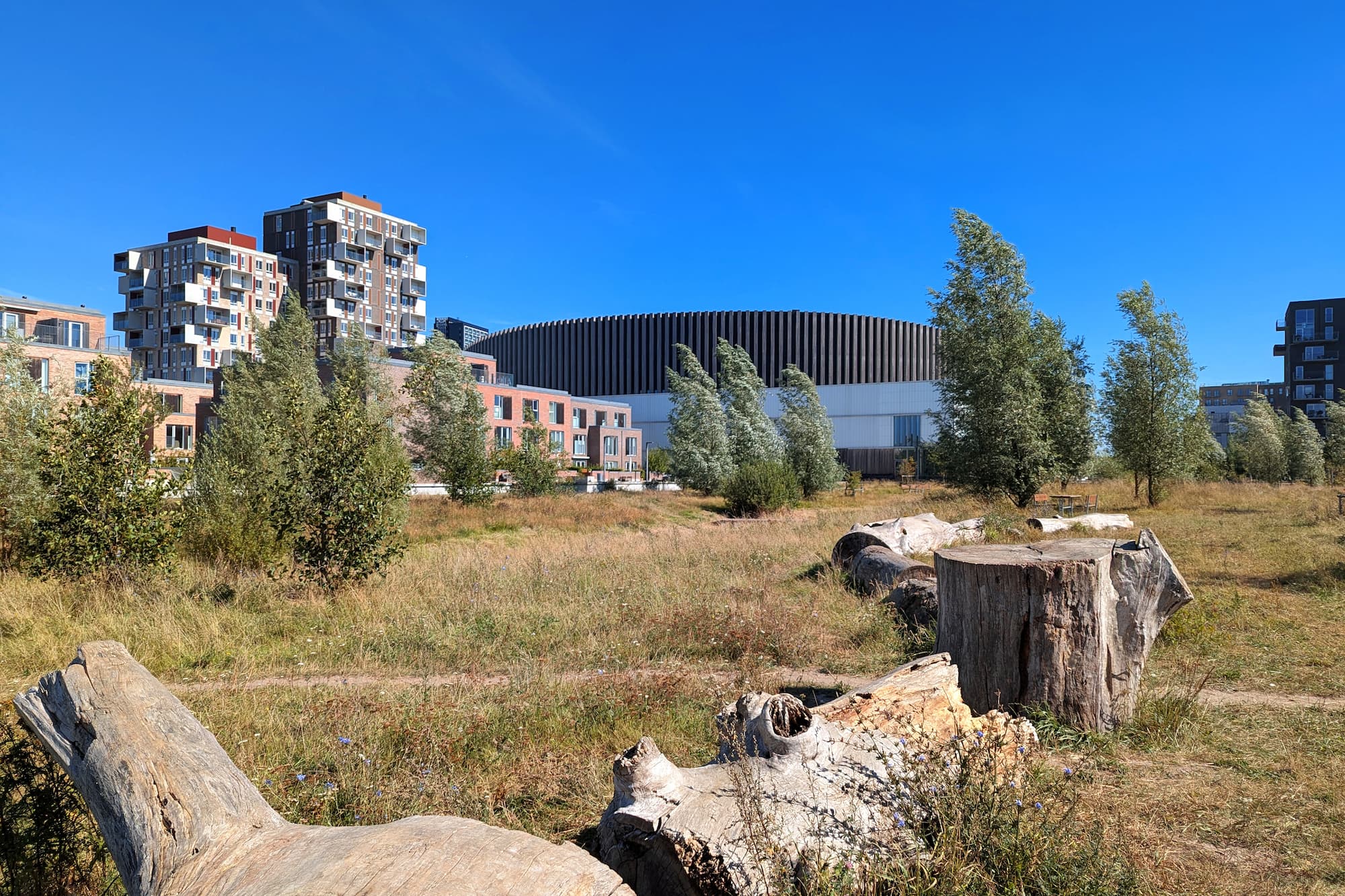 Træer er vigtige og livsnødvendige. Ikke bare i naturen, men i særdeleshed i byen. Derfor skal vi ikke bare have flere af dem – Ørestad skal også have store, gamle træer.