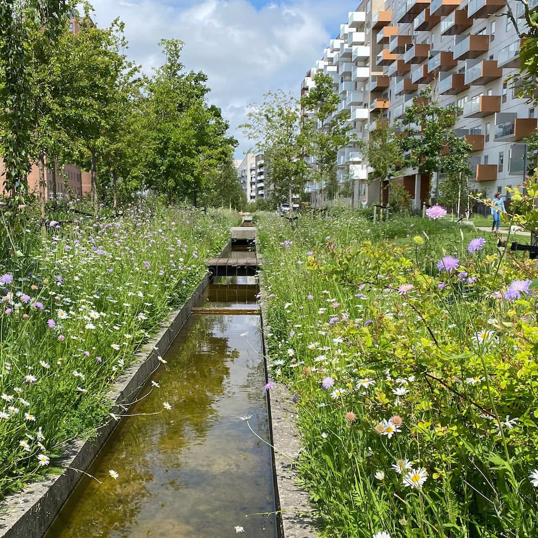 Bynatur i Skovrummet på Else Alfelts Vej.