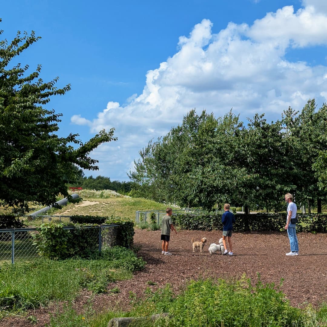 Hundegård i Byparken.