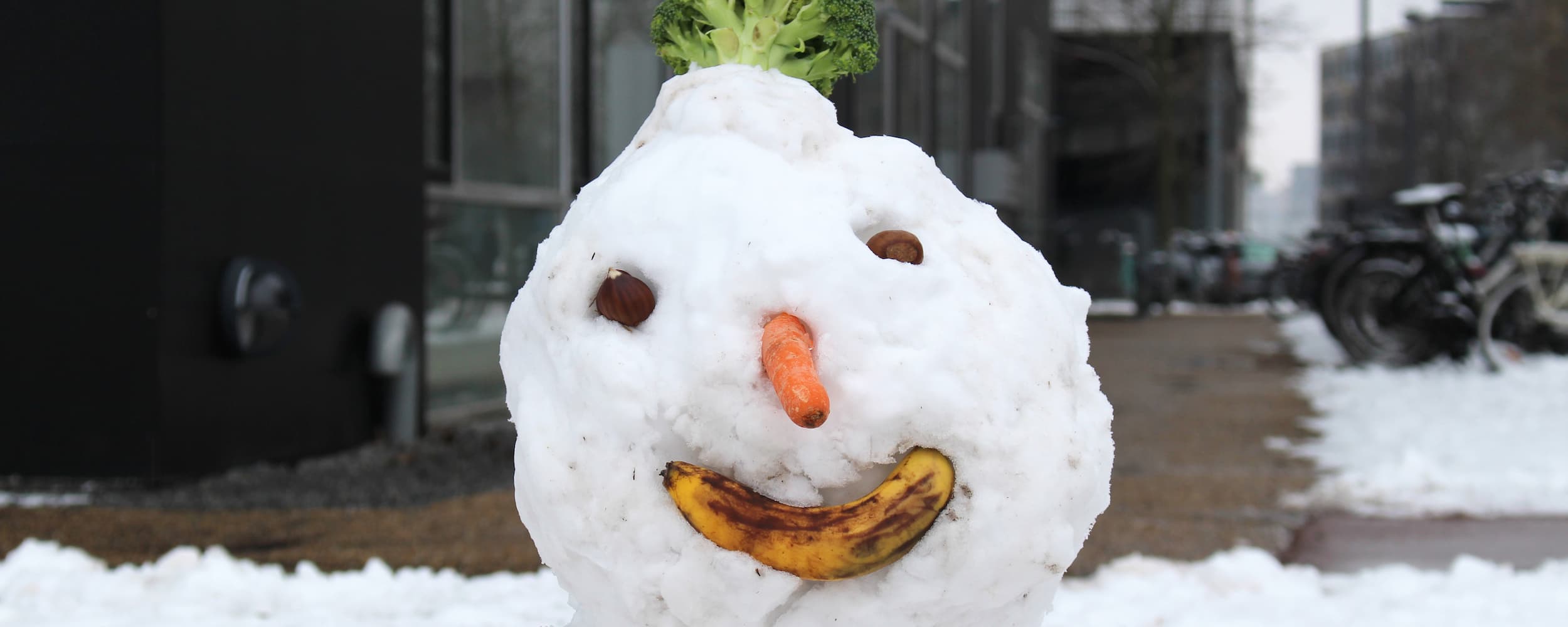 Snemand i Byparken. Grundejerforeningerne i Ørestad forbereder sig allerede til vintervejret om sommeren.