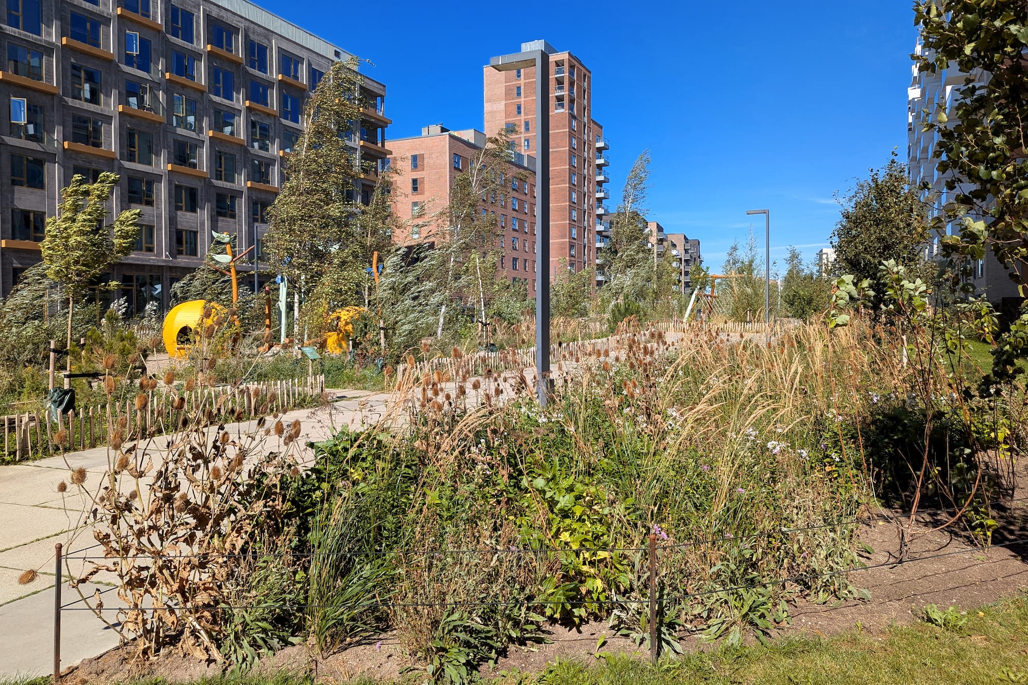 Ca. 1.500 blomsterløg er lagt i jorden i bedene omkring Fuglelegepladsen på Else Alfelts Vej.