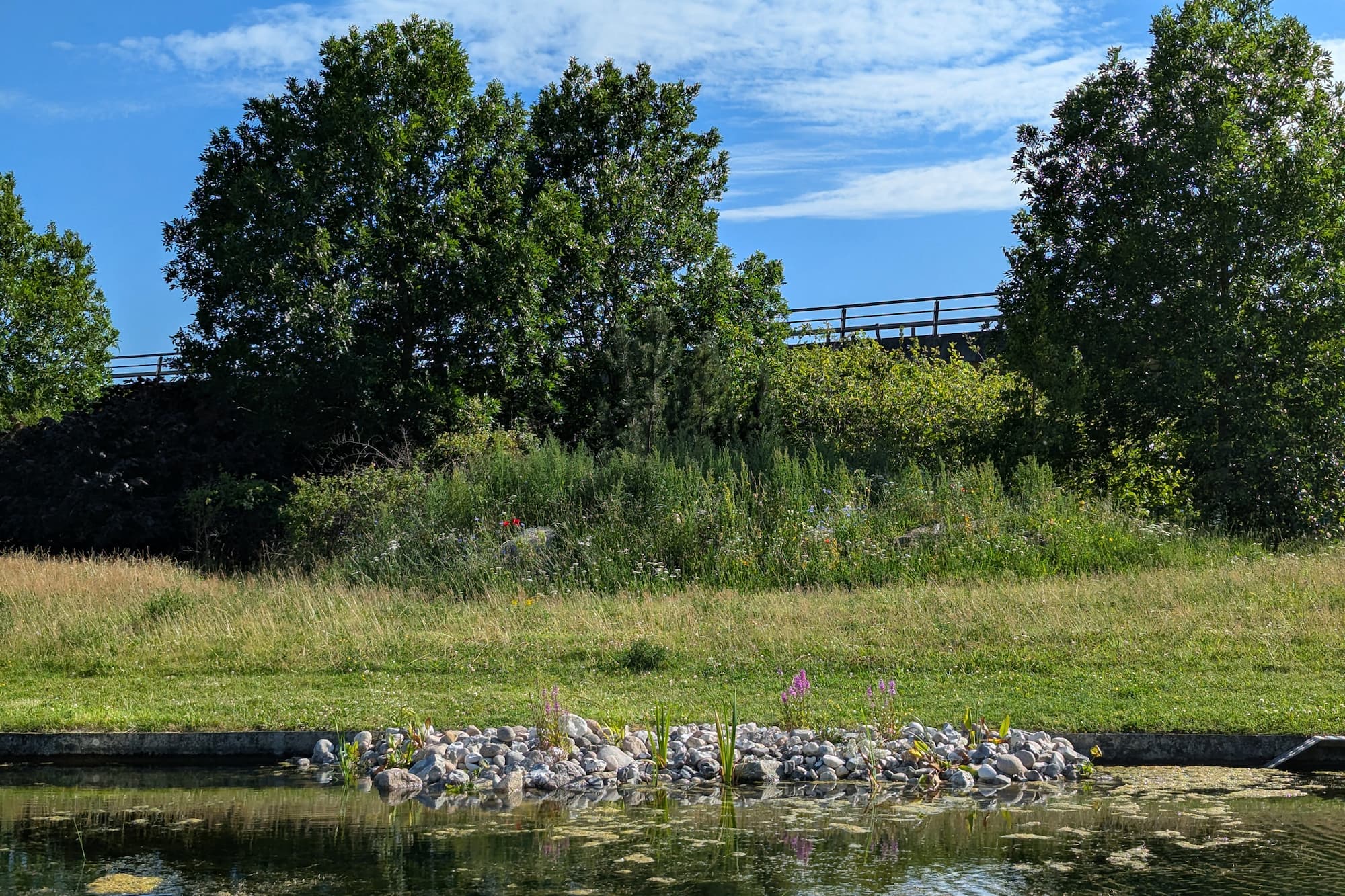 Vand- og landhabitat til padder på Grønningen. Bakken består af grus og jord, der er gravet op i forbindelse med arbejdet på Emil Holms Kanal.