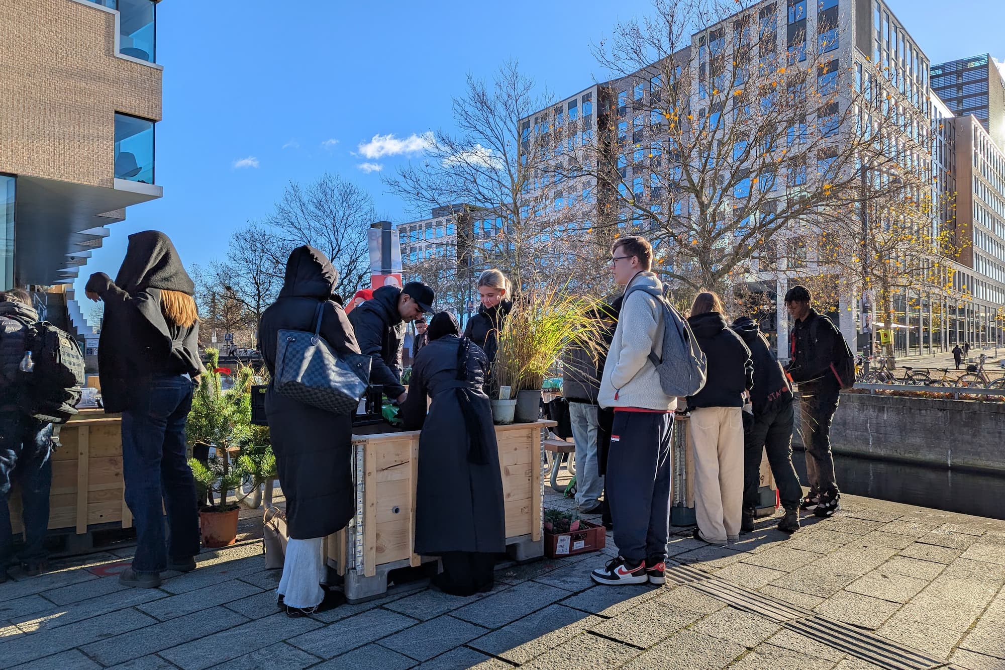 Gymnasieelever har ikke bare været med til at forme det endelige projekt, mens det var på tegnebrættet. De har også selv plantet kummerne til og skal passe planterne fremover.