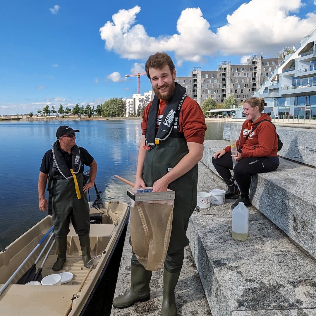 Ekspert i mikroliv har undersøgt Ørestads kanaler og søer, og især ét fund skiller sig ud: En ny art dværgrygsvømmer er nemlig fundet for første gang i Danmark.