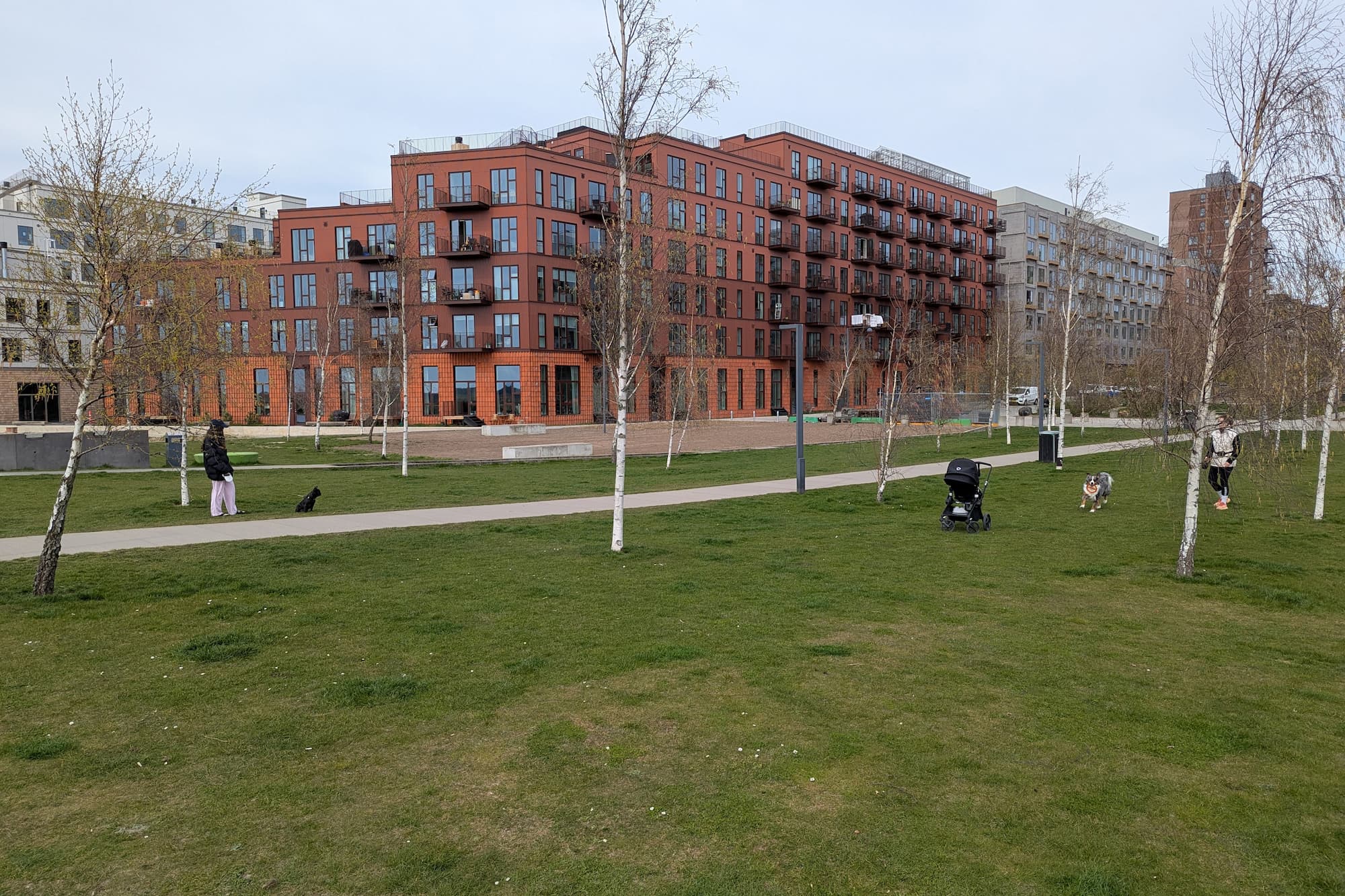 Molepladsens udtryk er i dag domineret af en flad græsplæne.