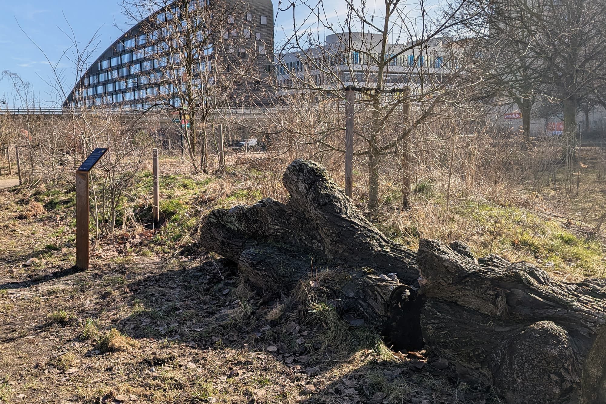 I Byparken kan du blandt andet blive klogere på meningen bag døde træstammer og bladtårne i bybilledet.