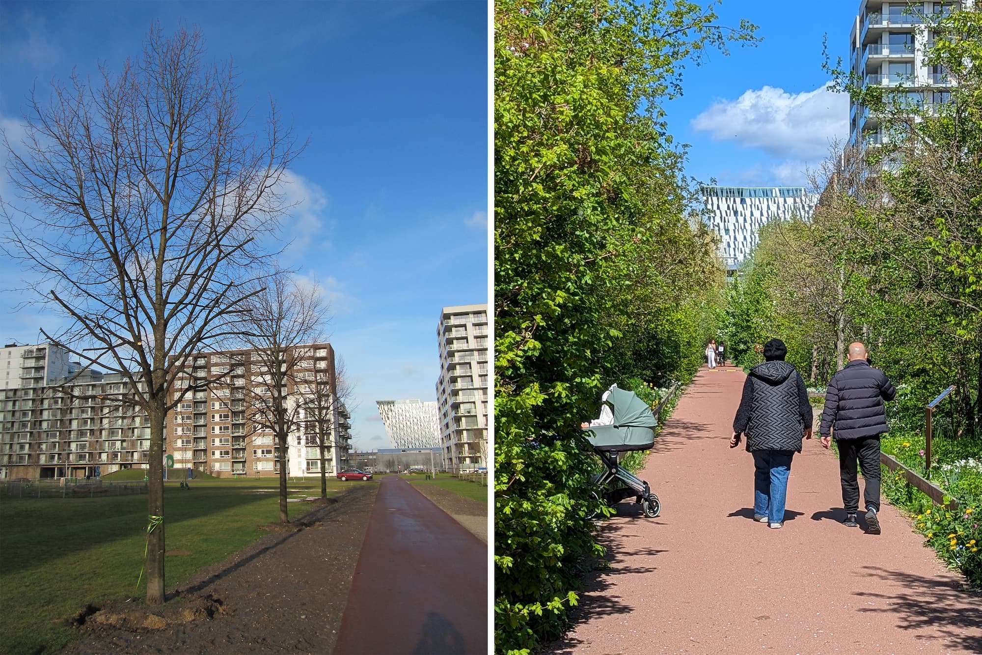 Til venstre: I 2012 blev en lille håndfuld kejserlinde flyttet fra Kgs. Nytorv til Ørestad. Til højre: Sidenhen har Grundejerforeningen Ørestad City anlagt det grønne område Løvtaget, hvor de overlevende kejserlinde står den dag i dag.