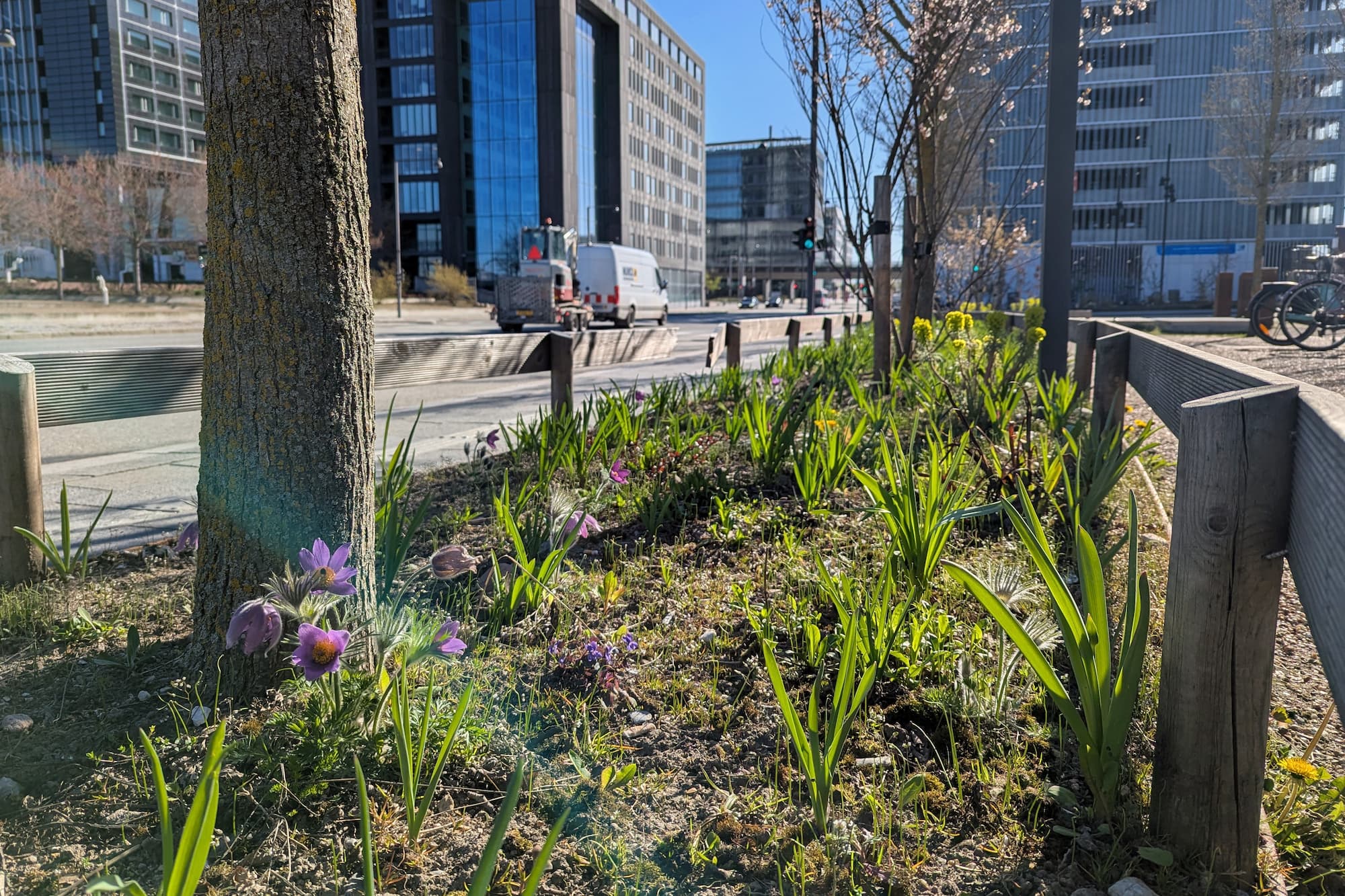 Blomster langs fortovet ved Royal Arenas cykelparkering.