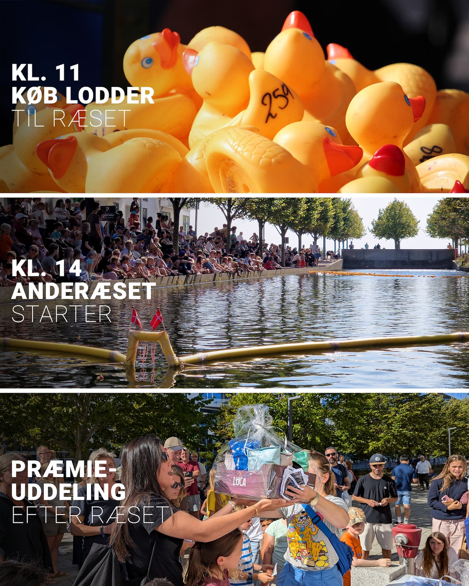 Guide til, hvordan Anderæset foregår.